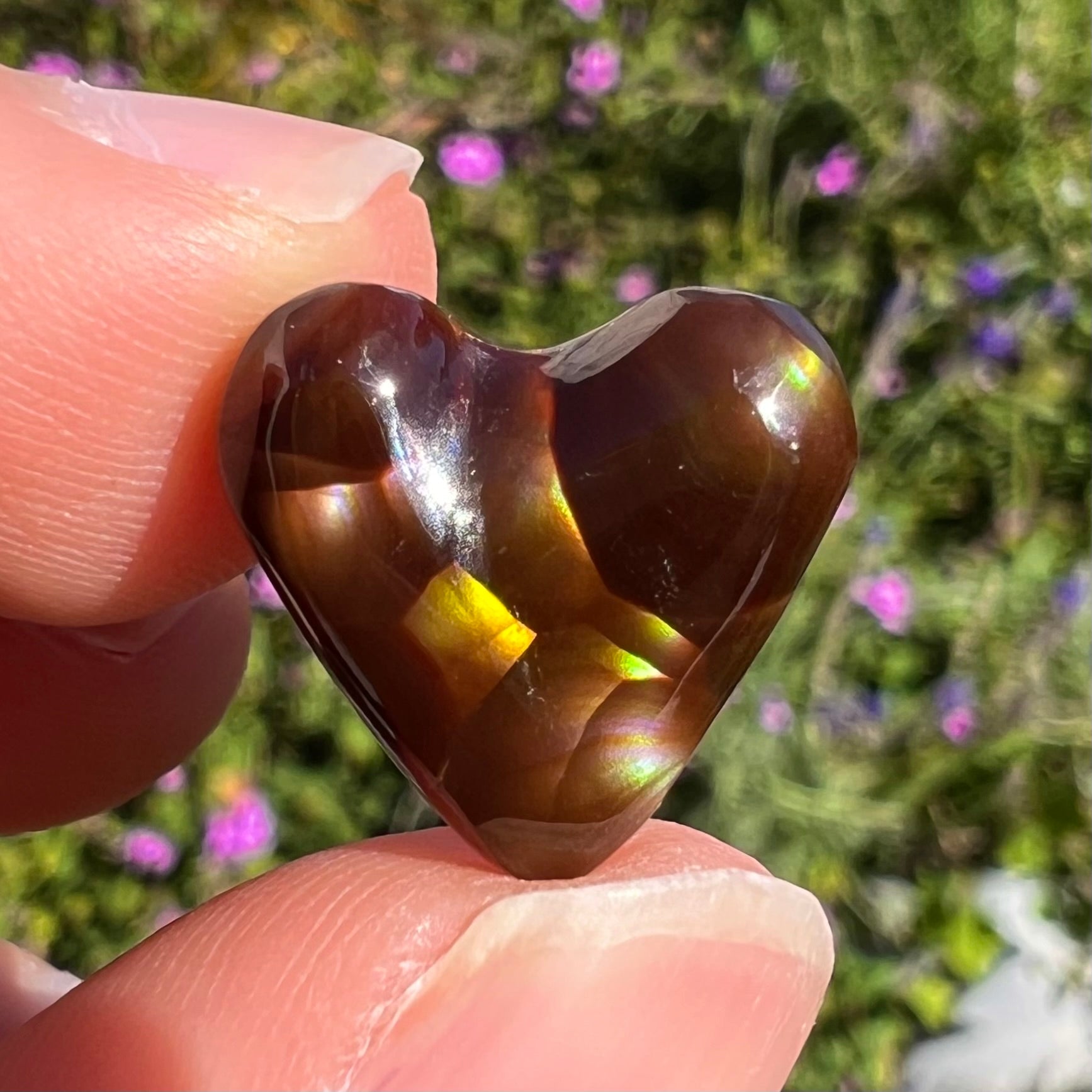 A cabochon cut heart shaped Mexican fire agate stone.  The stone is orange, yellow, pink, green, and purple.