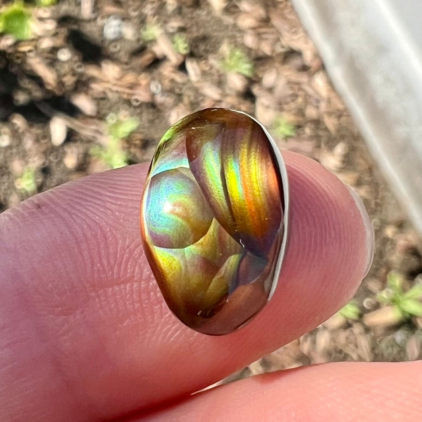 An oval cabochon cut Mexican fire agate stone.  The stone has bright, multicolored iridescent banding.