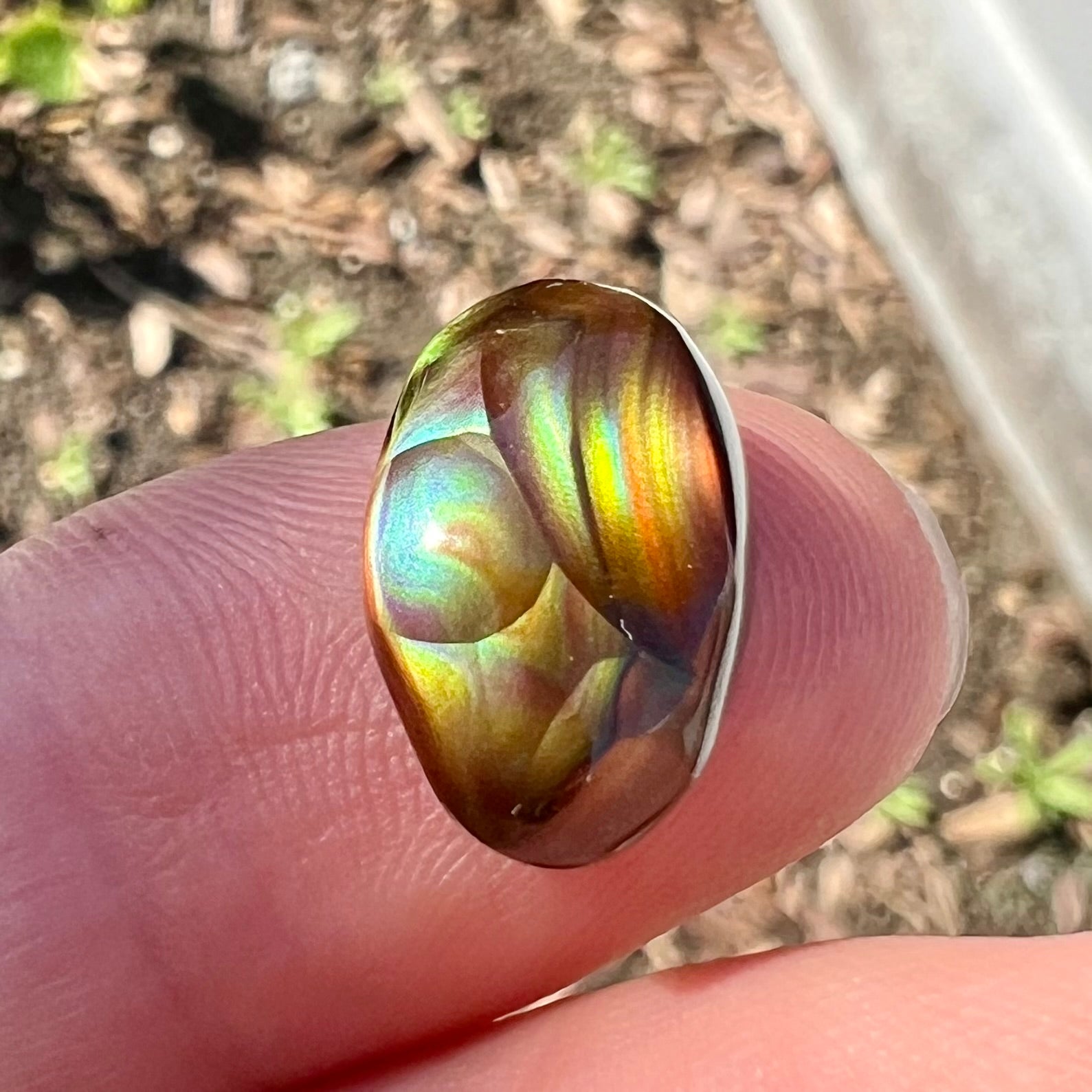 An oval cabochon cut Mexican fire agate stone.  The stone has bright, multicolored iridescent banding.