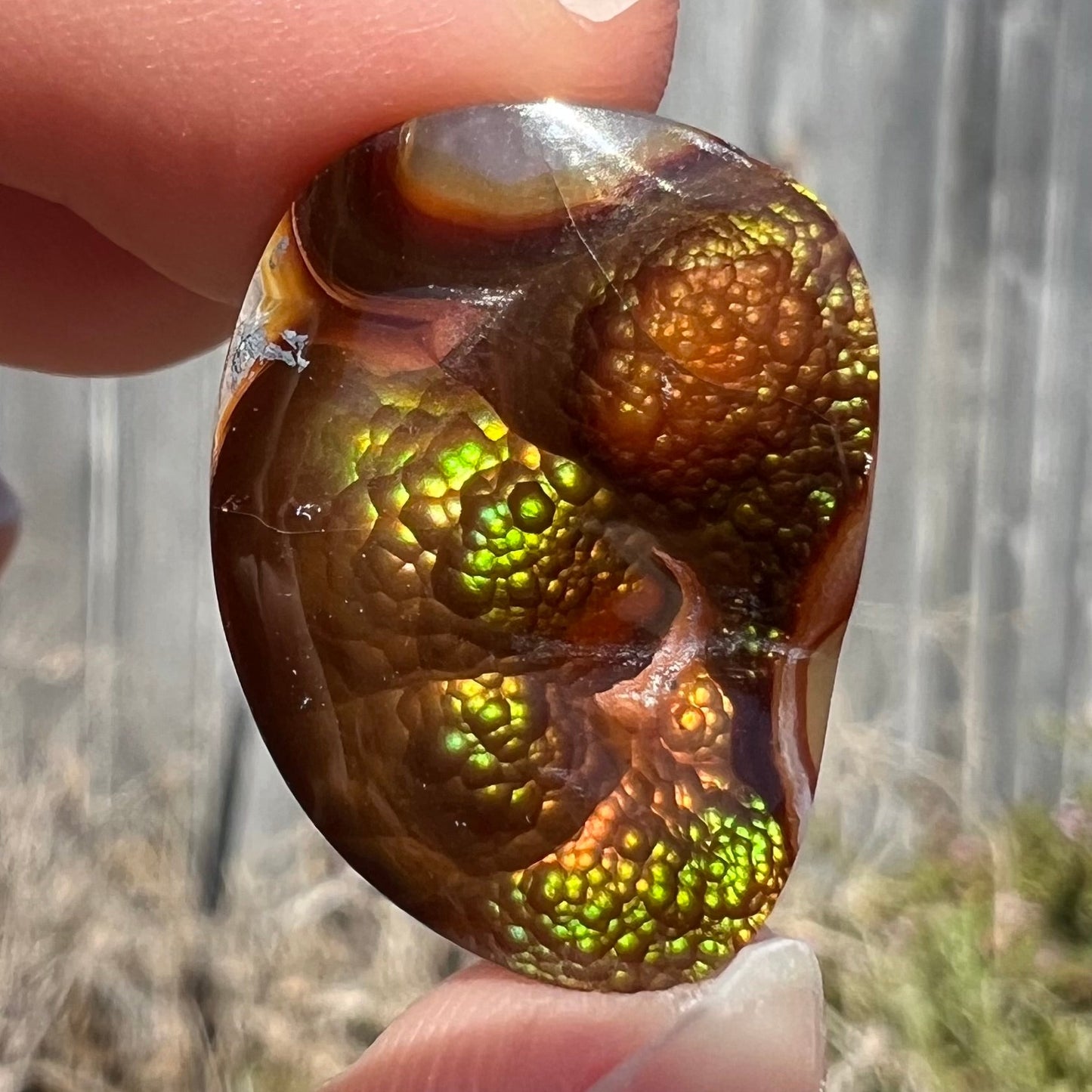 A large Mexican fire agate cabochon. The stone has a bubbly green pattern.