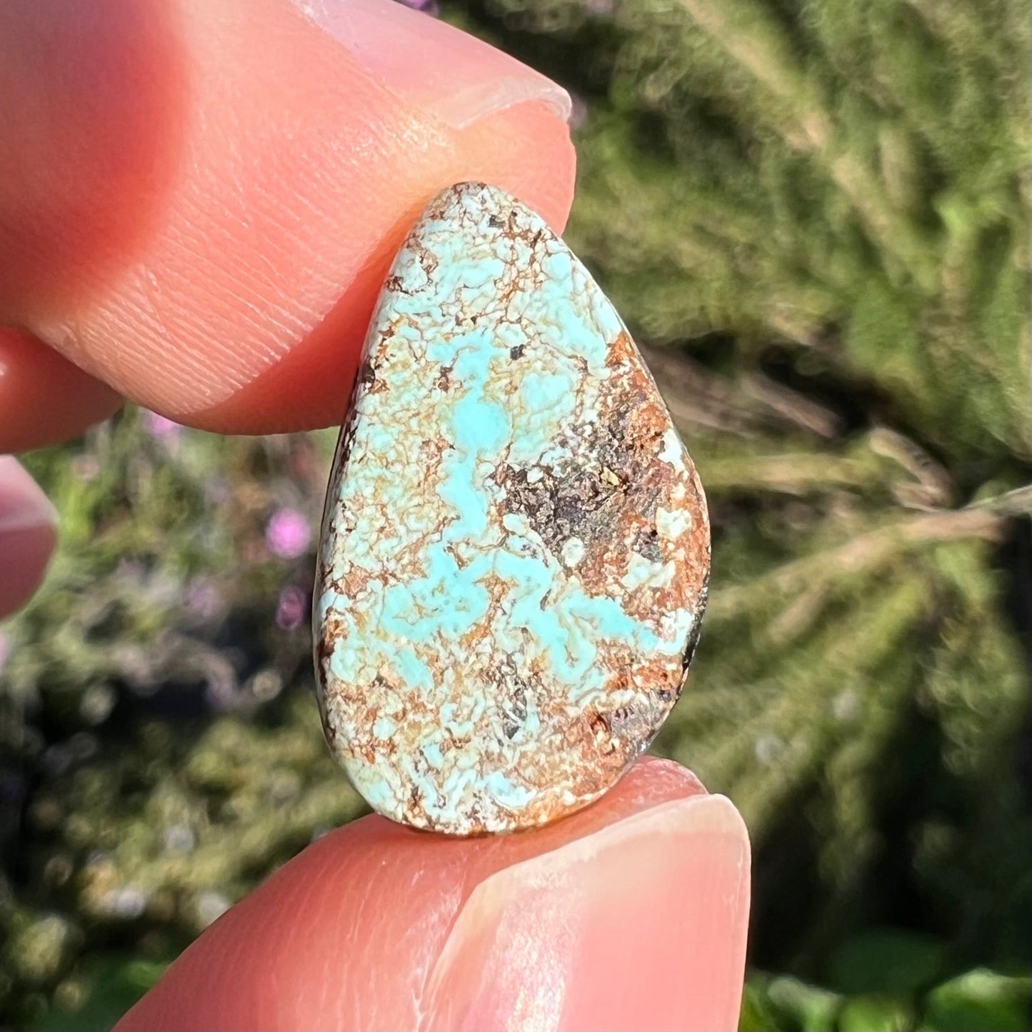A loose, freeform cabochon cut Valley Blue turquoise stone. The stone is light blue with black and brown matrix.