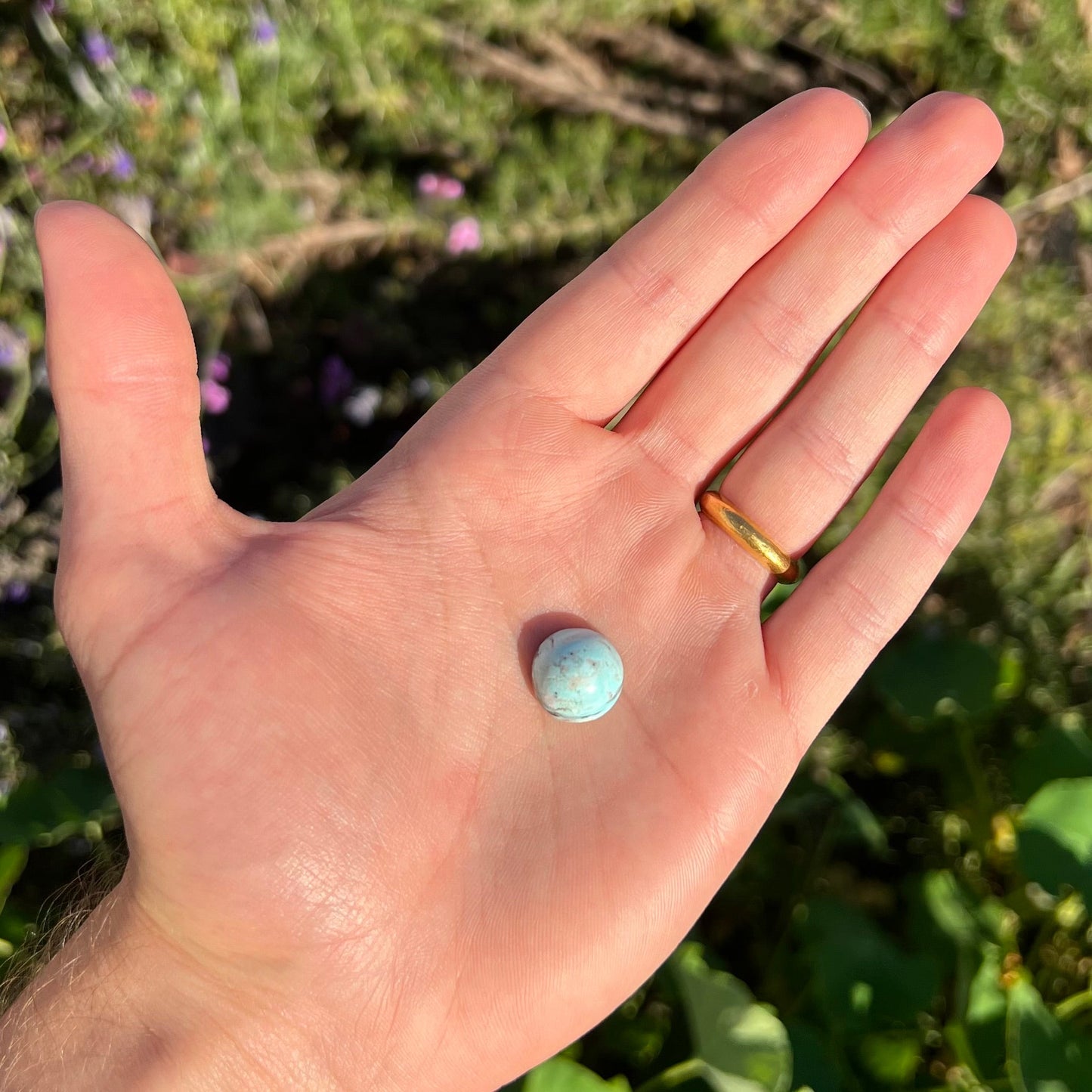 A loose, round cabochon cut Valley Blue turquoise stone.