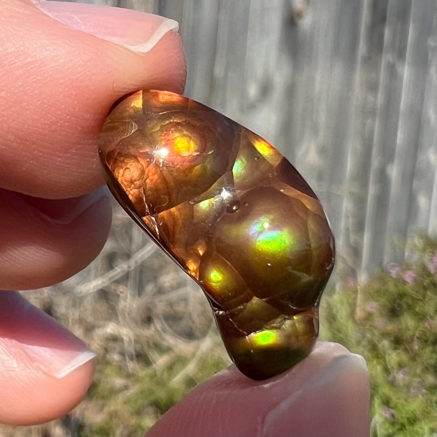A loose, freeform shaped fire agate stone. The fire agate has red, orange, and yellow colors on one side, and the other has green and blue colors.