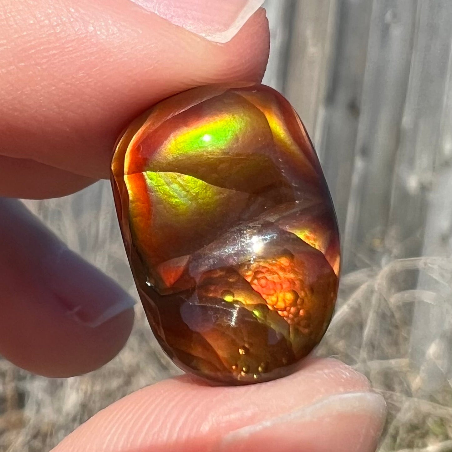 A loose fire agate cabochon. The stne shows green and orange iridescence on a brown body tone.