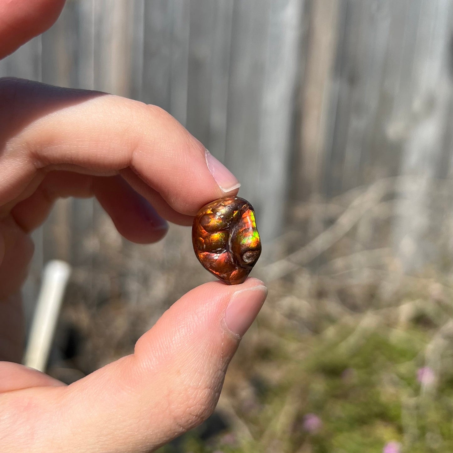A large Mexican fire agate gemstone. The stone is red with green iridescence and a waxy luster.