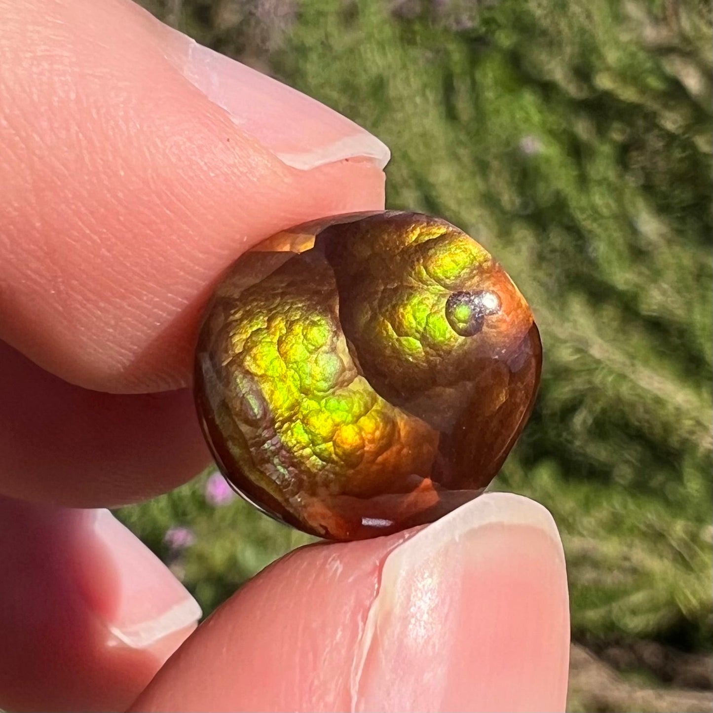 A loose, round cabochon cut fire agate stone. The gem is green with orange, red, blue, and a purple stripe.