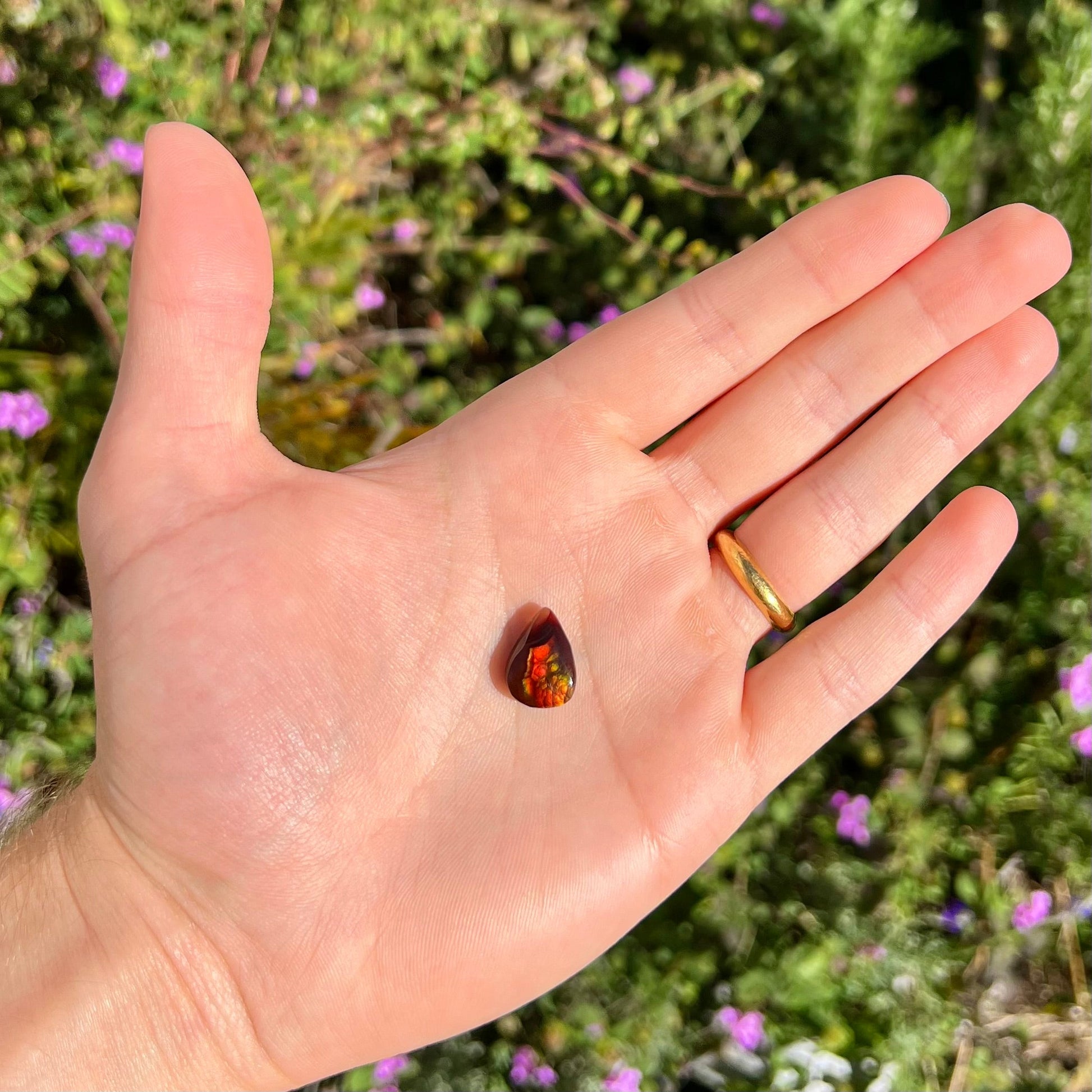 A loose, pear shaped Mexican fire agate gemstone.  The stone is predominantly vivid red with green overtones.
