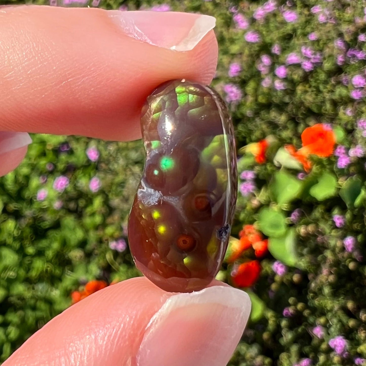 A loose, cabochon cut fire agate gemstone. The stone resembles a foot with a green heel and yellow toes.