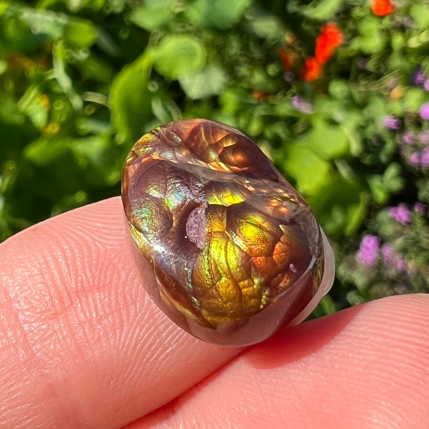 An oval cabochon cut Mexican fire agate stone. The stone's predominant colors are green, yellow, orange, and blue.