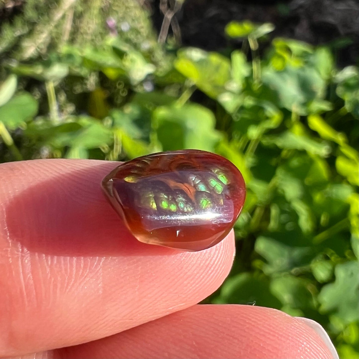 A loose, cabochon cut Mexican fire agate stone. The stone's colors are predominantly bright green and blue.
