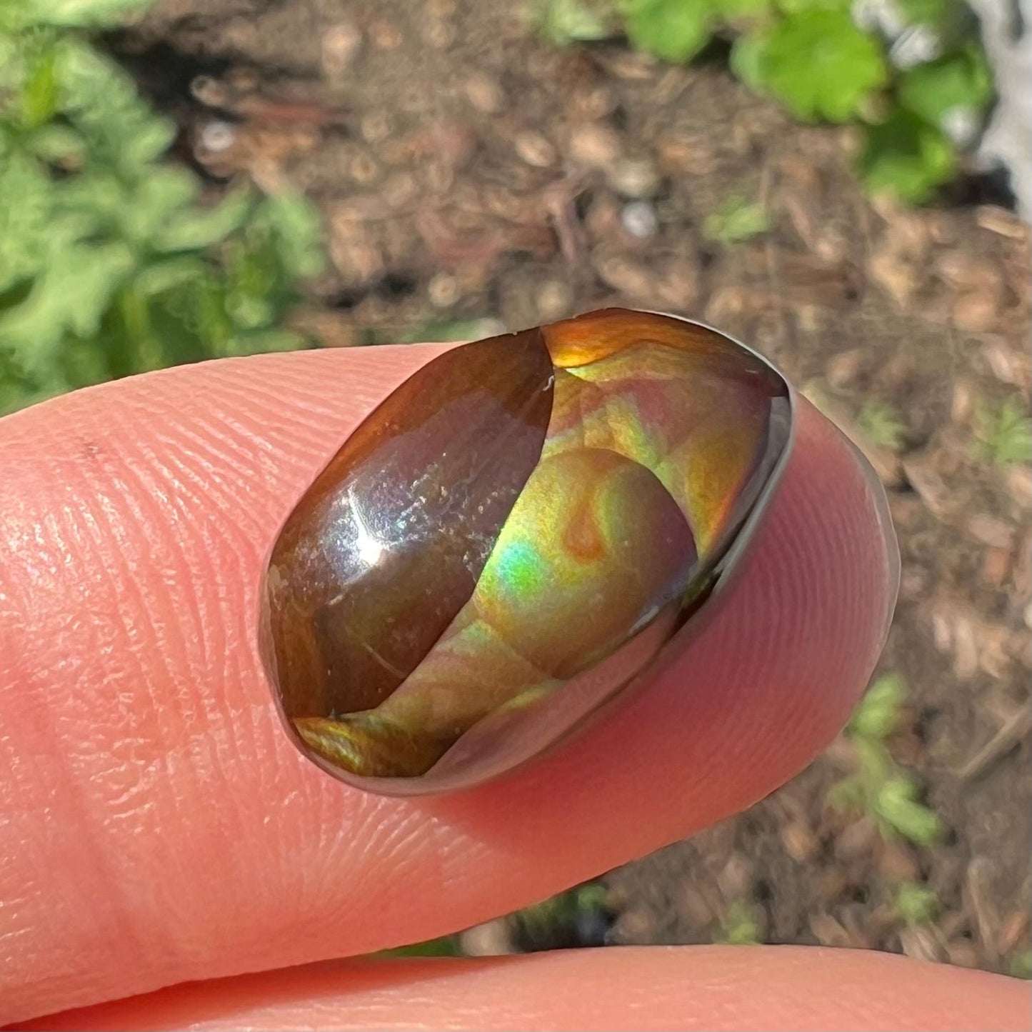 An oval cabochon cut Mexican fire agate stone.  The stone has bright, multicolored iridescent banding.