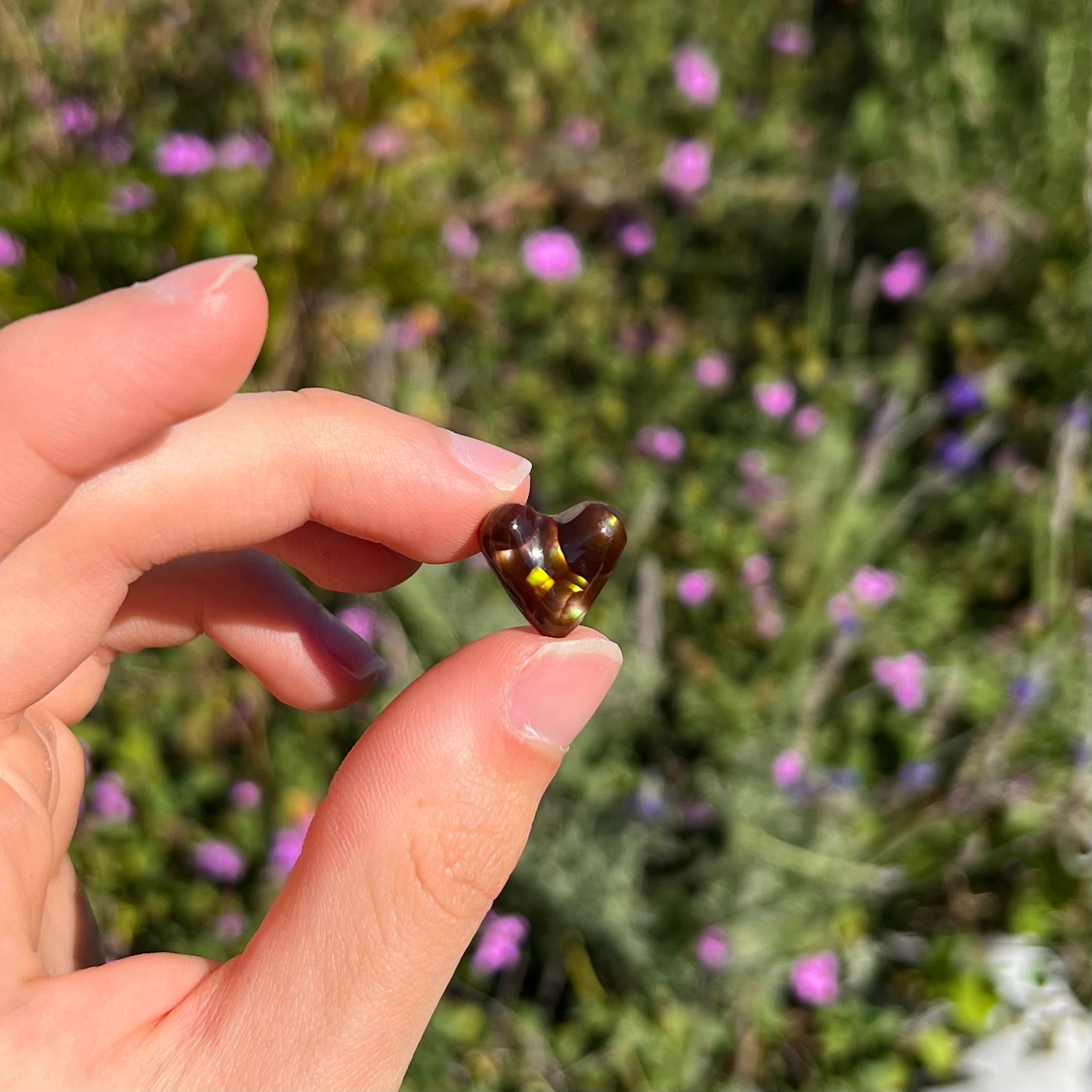A cabochon cut heart shaped Mexican fire agate stone.  The stone is orange, yellow, pink, green, and purple.