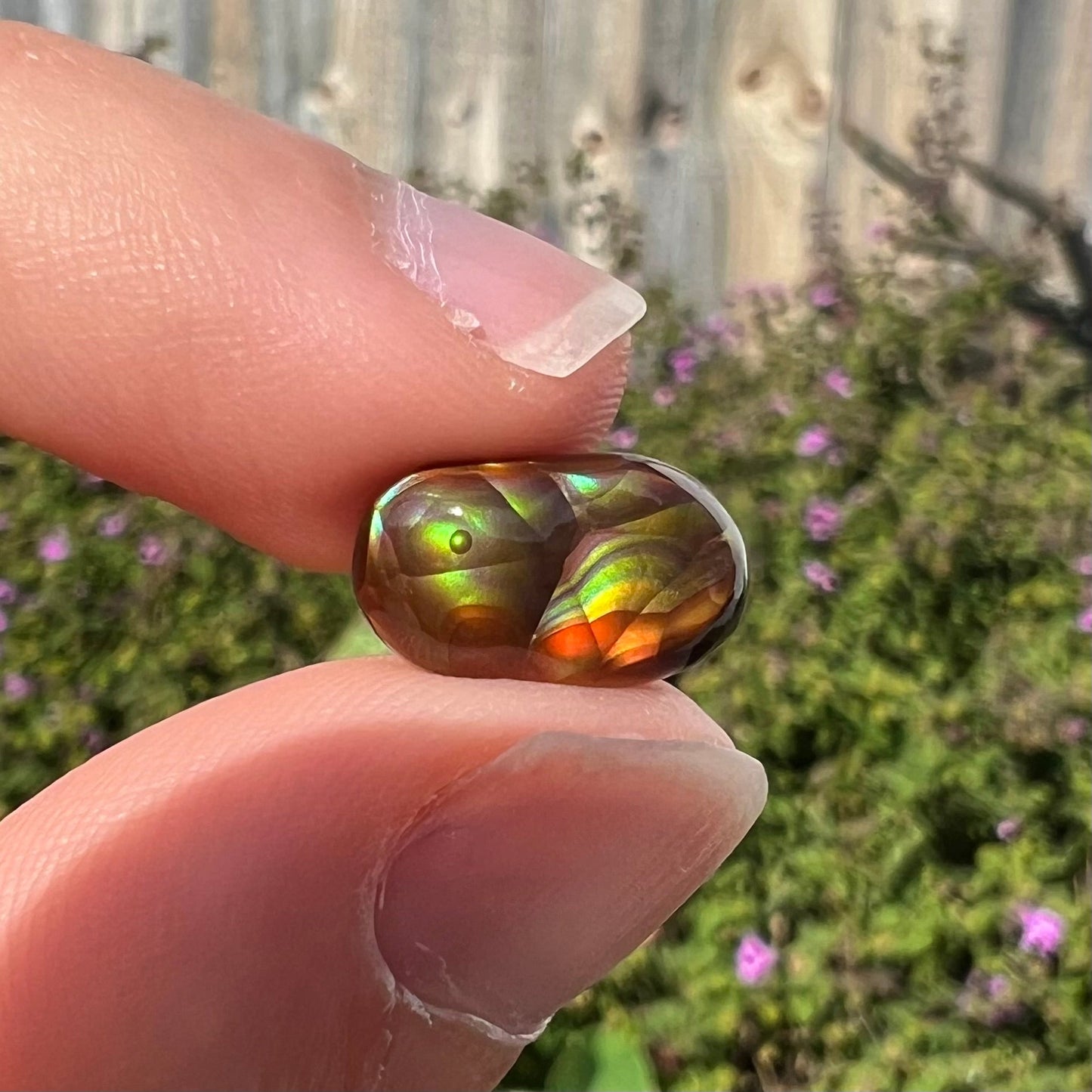 A loose, oval cabochon cut Mexican fire agate stone. The stone has multi-colored banding with blue overtones.