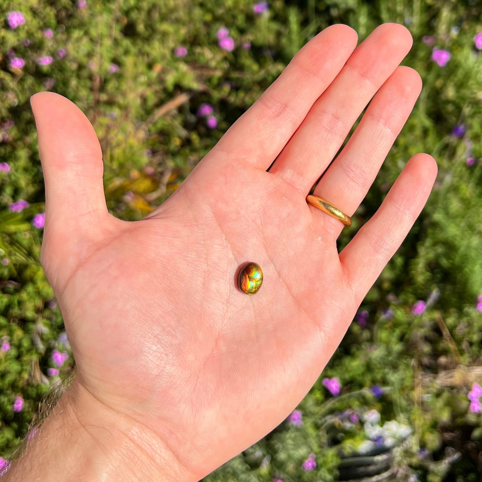 A loose, imperial grade Mexican fire agate gemstone.  The stone brightly glows every color in the sunlight.