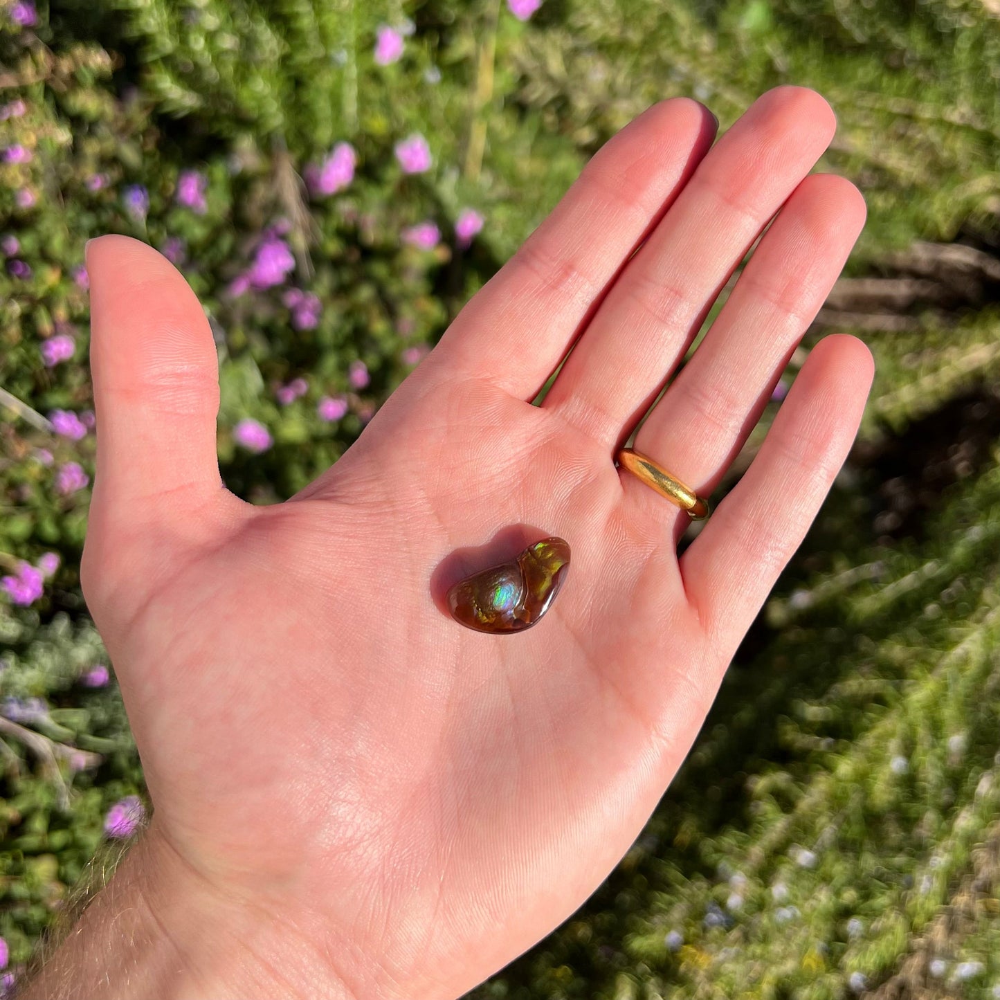 A loose, boomerang shaped fire agate cabochon. The stone displays greens, purples, blues, and reds.