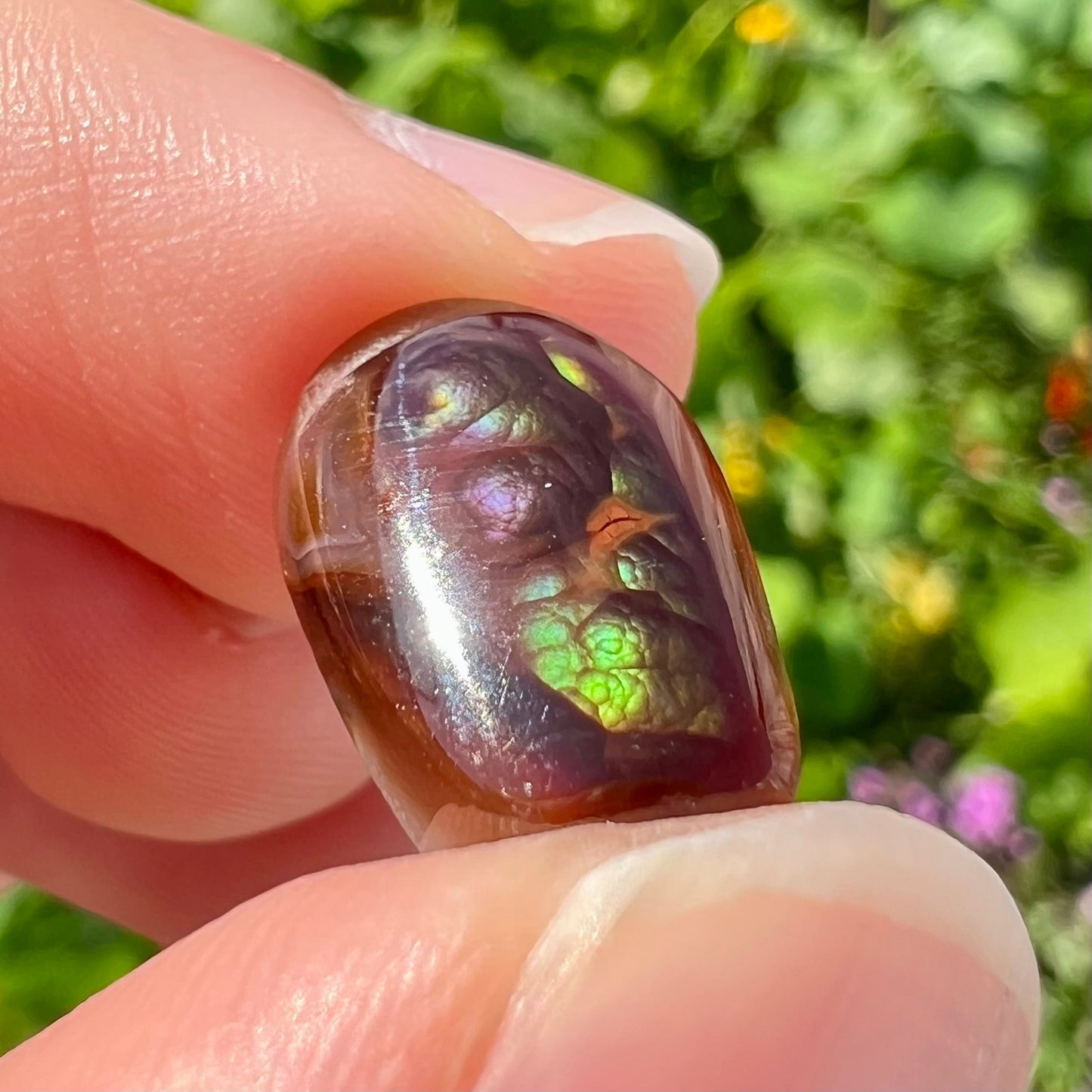 A loose, cabochon cut Mexican fire agate stone. The stone's colors are predominantly bright green and blue.