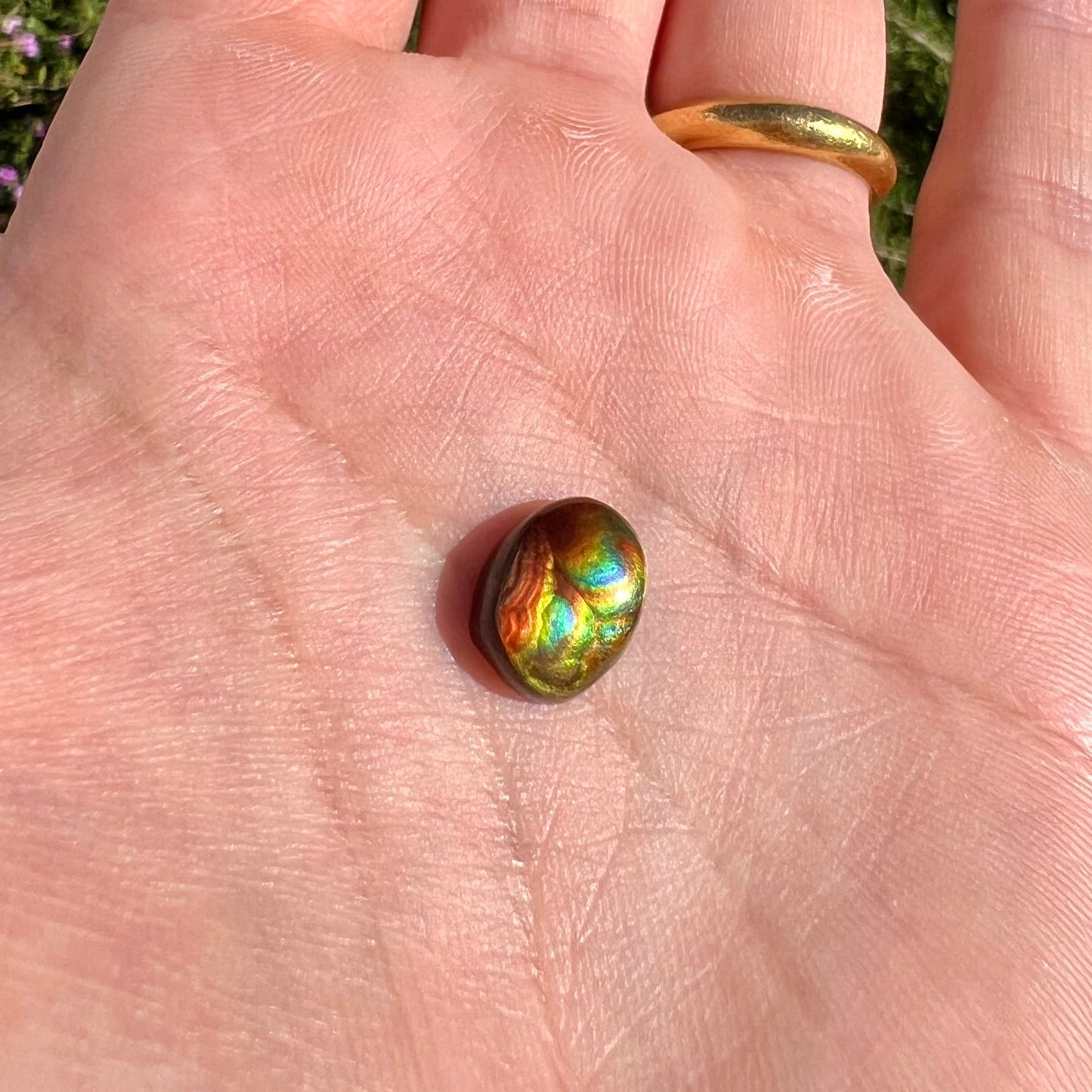 A loose, imperial grade Mexican fire agate gemstone. The stone brightly glows every color in the sunlight.