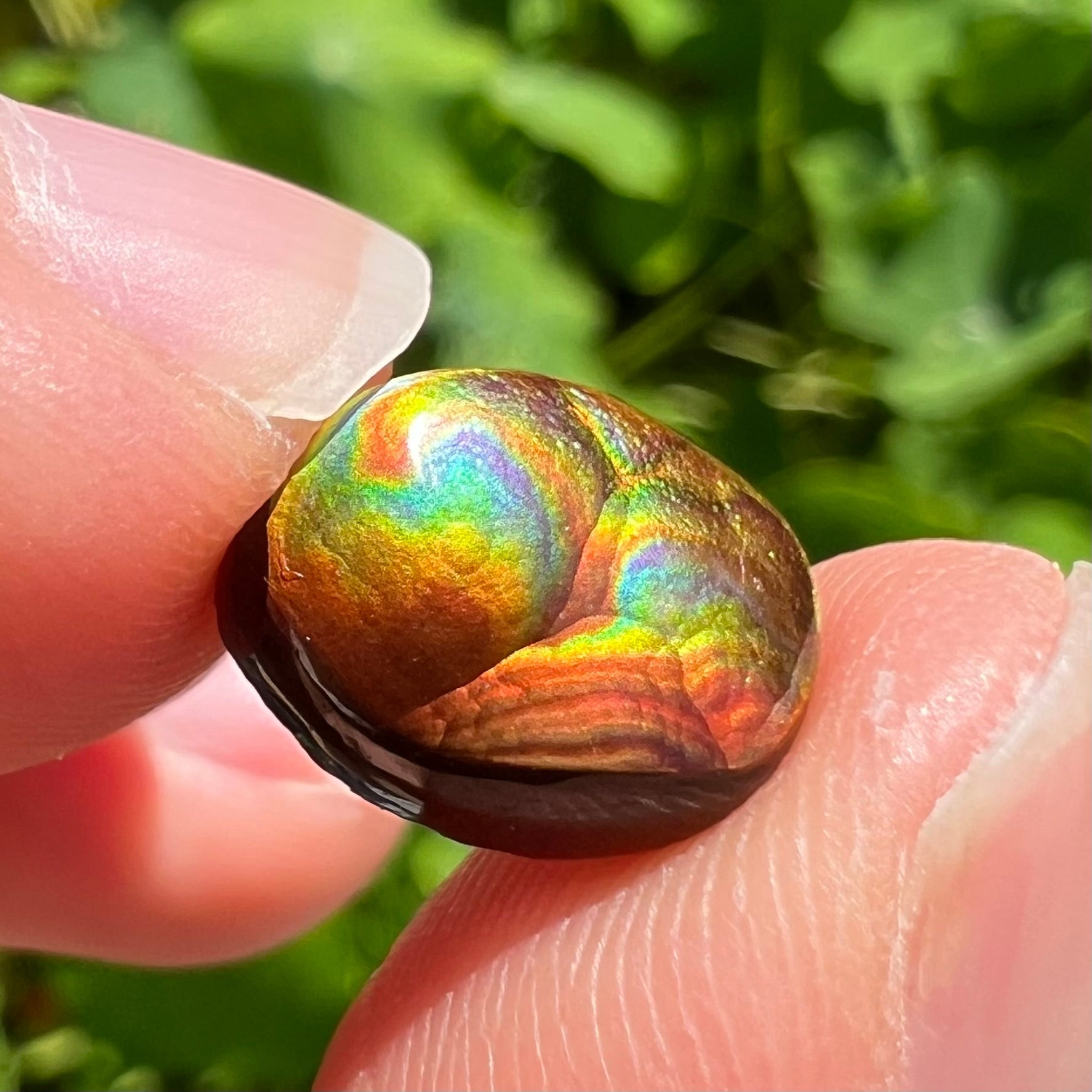 A loose, oval cabochon cut Mexican fire agate stone.  The gem is iridescent with every color of the rainbow.