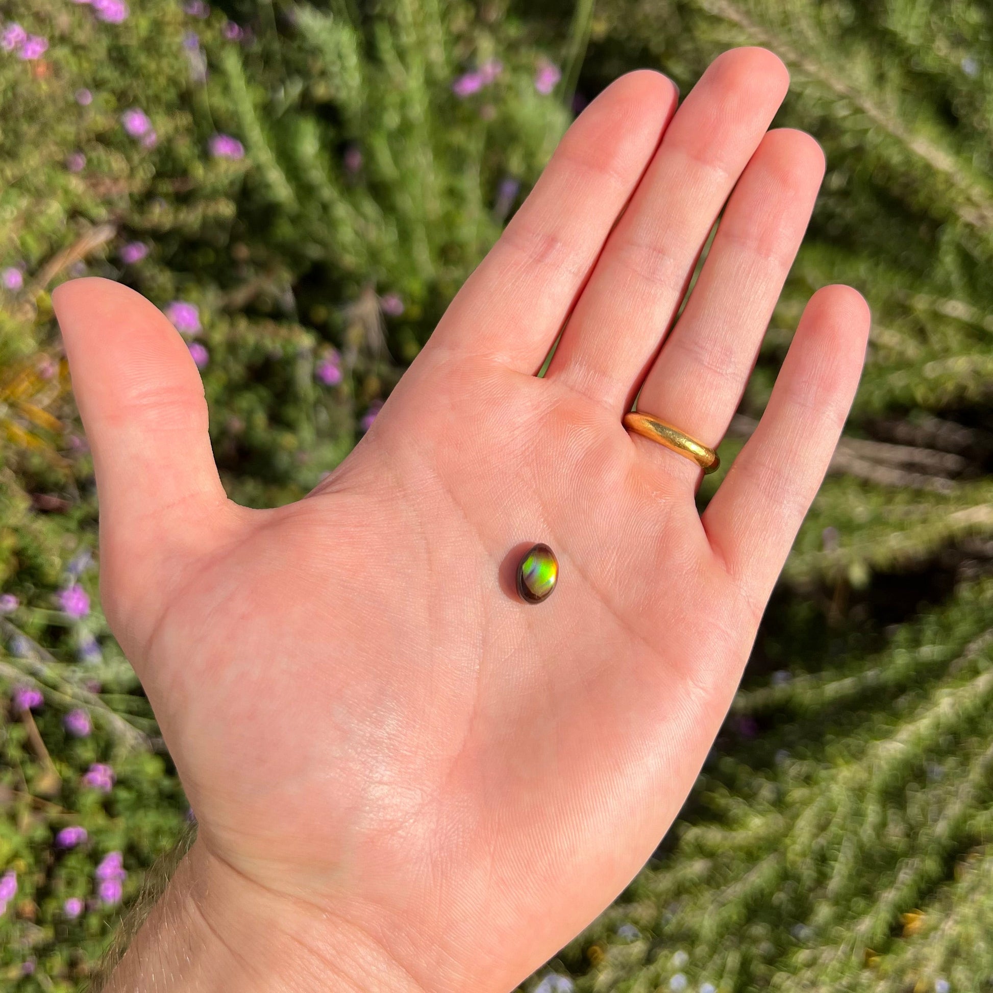 A loose, 3.38ct, pear shaped Mexican fire agate stone.  The stone shines a vivid, bright green color with a purple streak.