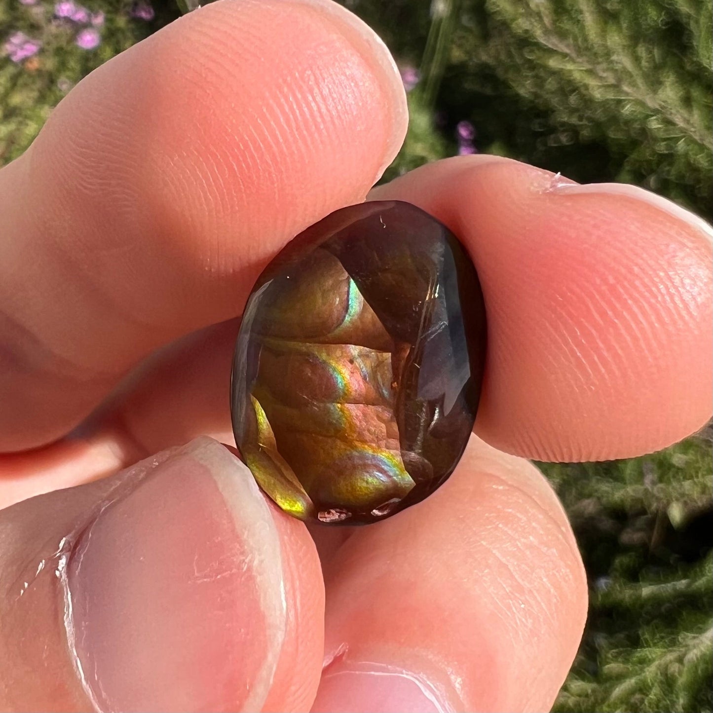 A loose, oval cabochon cut Mexican fire agate stone with pink, orange, and purple banding.