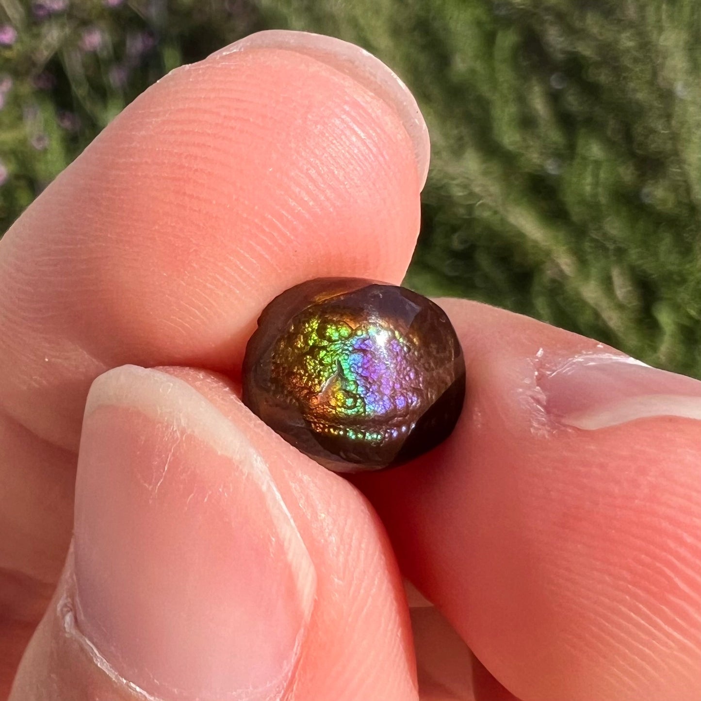 A loose, oval cabochon cut fire agate stone from Mexico. The stone has an iridescent purple and teal blue eye of color.