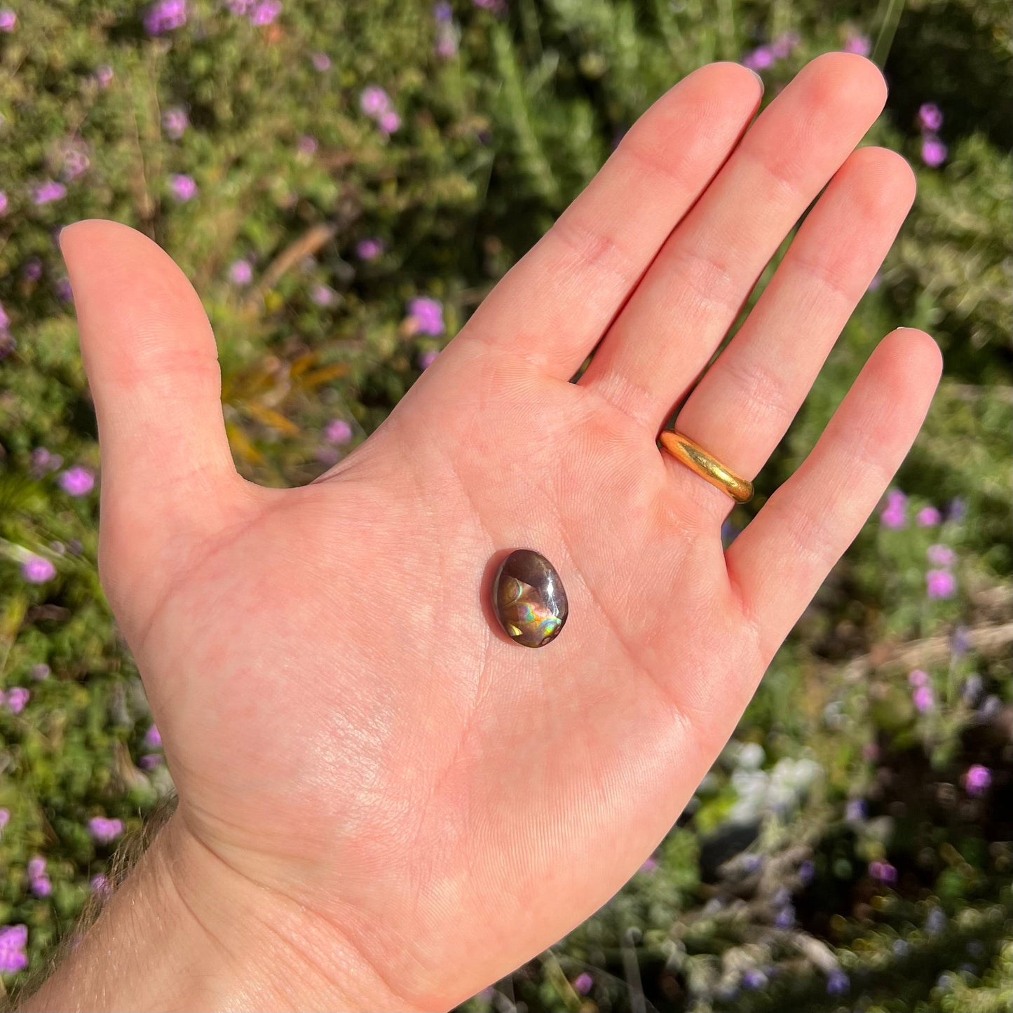 A loose, oval cabochon cut Mexican fire agate stone with pink, orange, and purple banding.
