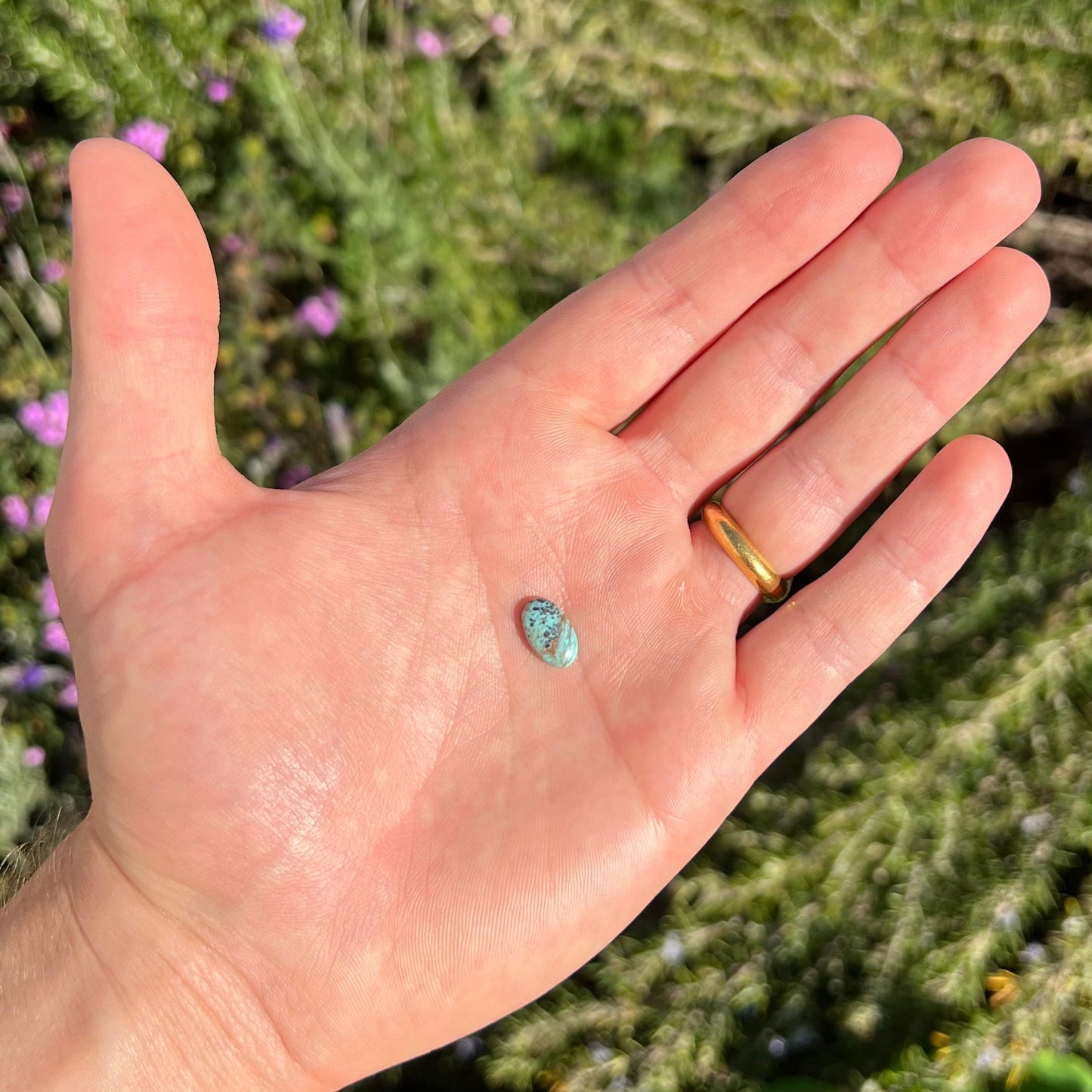 A loose, oval cabochon cut turquoise stone. The stone is light blue with black spotted and brown streaked matrix.