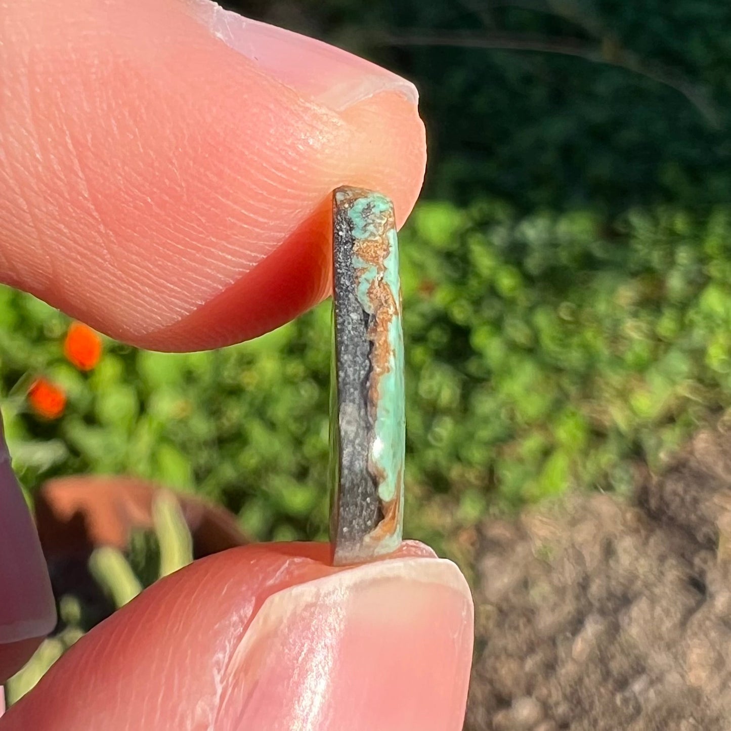 A freeform cabochon cut loose Royston turquoise stone. The stone is green with brown matrix.