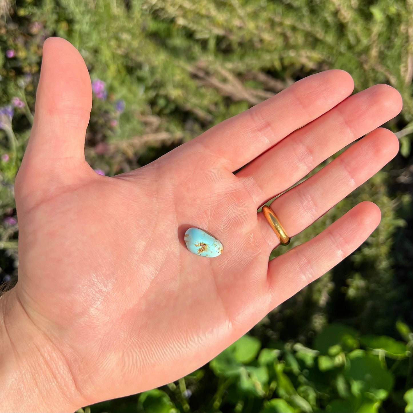 A loose turquoise cabochon from the Sleeping Beauty Mine in Arizona. The stone is light blue with brown matrix.