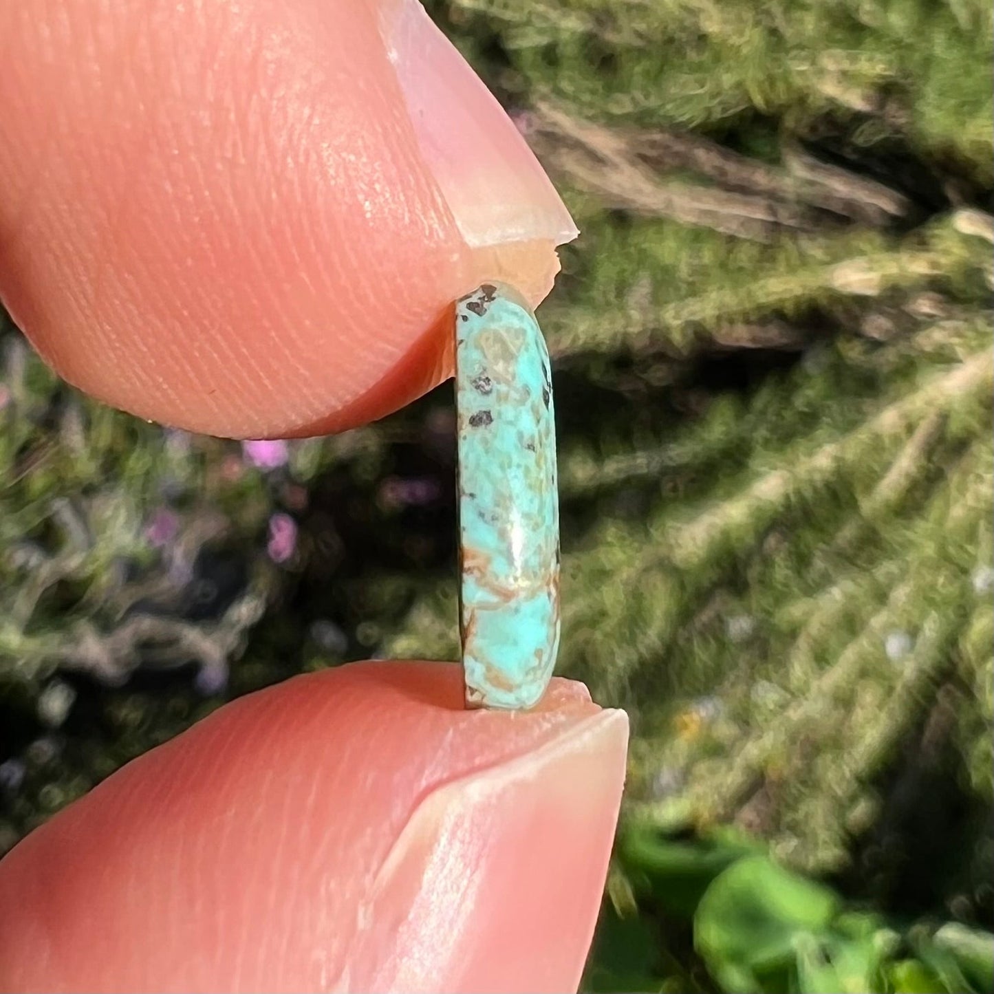 A loose, oval cabochon cut turquoise stone. The stone is light blue with black spotted and brown streaked matrix.