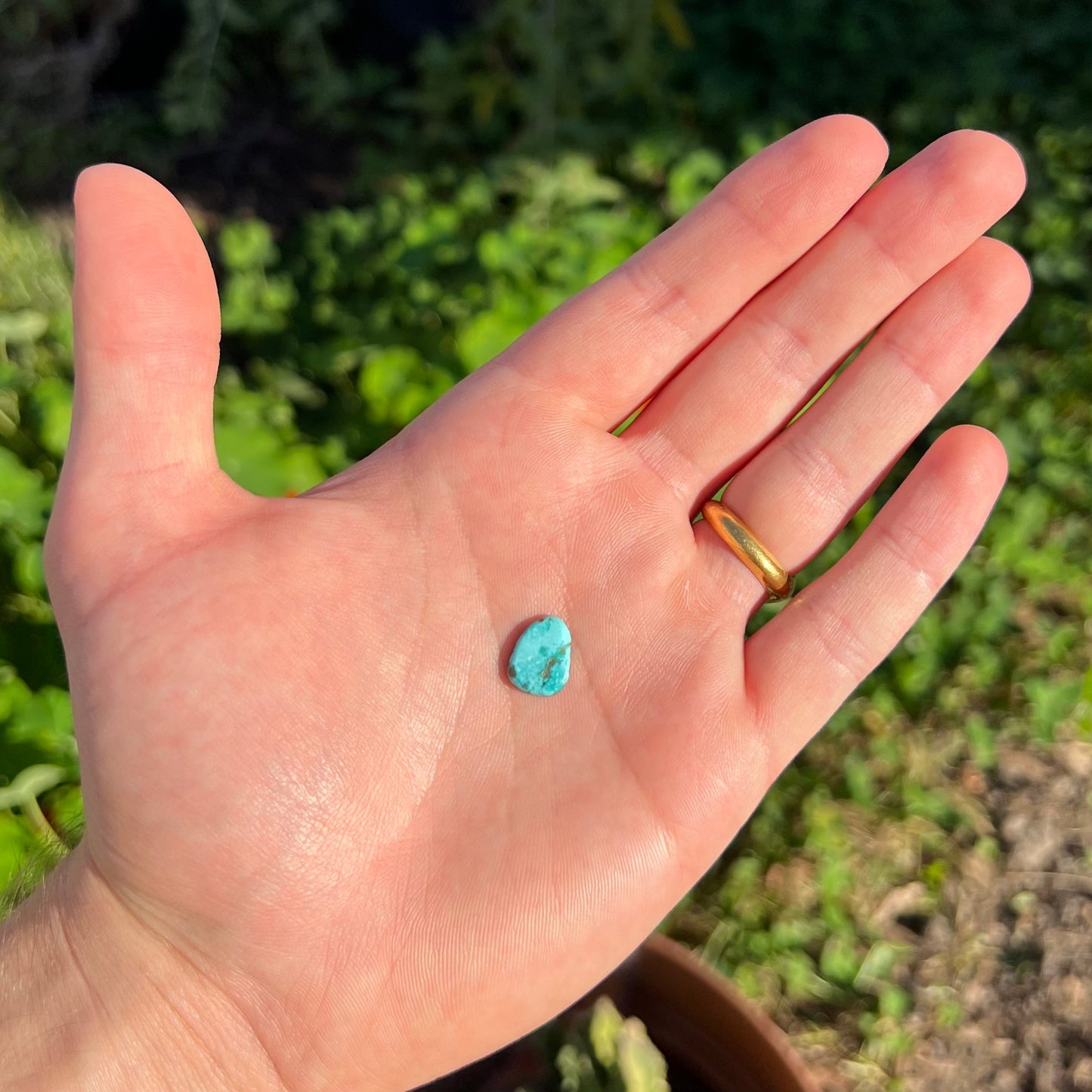 A loose, freeform pear shaped turquoise cabochon. The stone is from the Pilot Mountain Mine in Nevada.