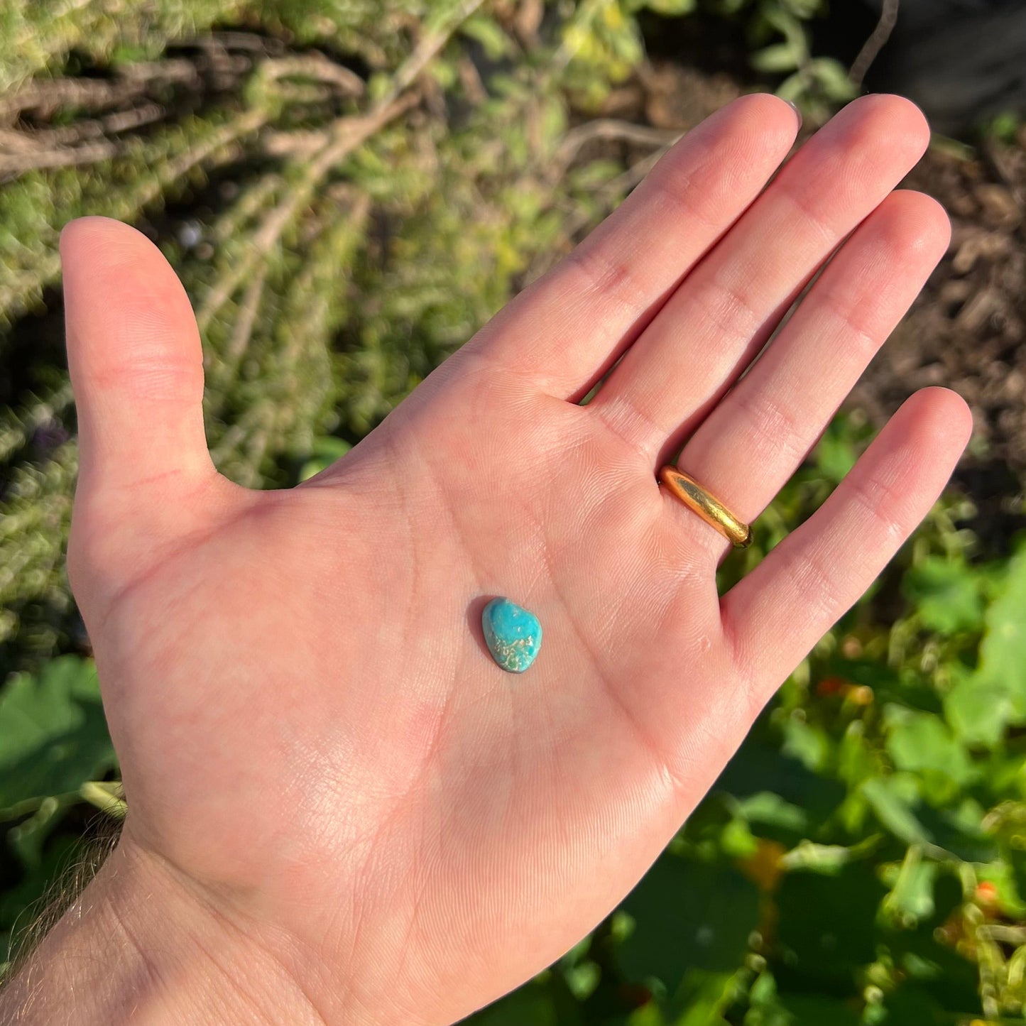 A loose, freeform cut Pilot Mountain turquoise cabochon. The stone is greenish blue.