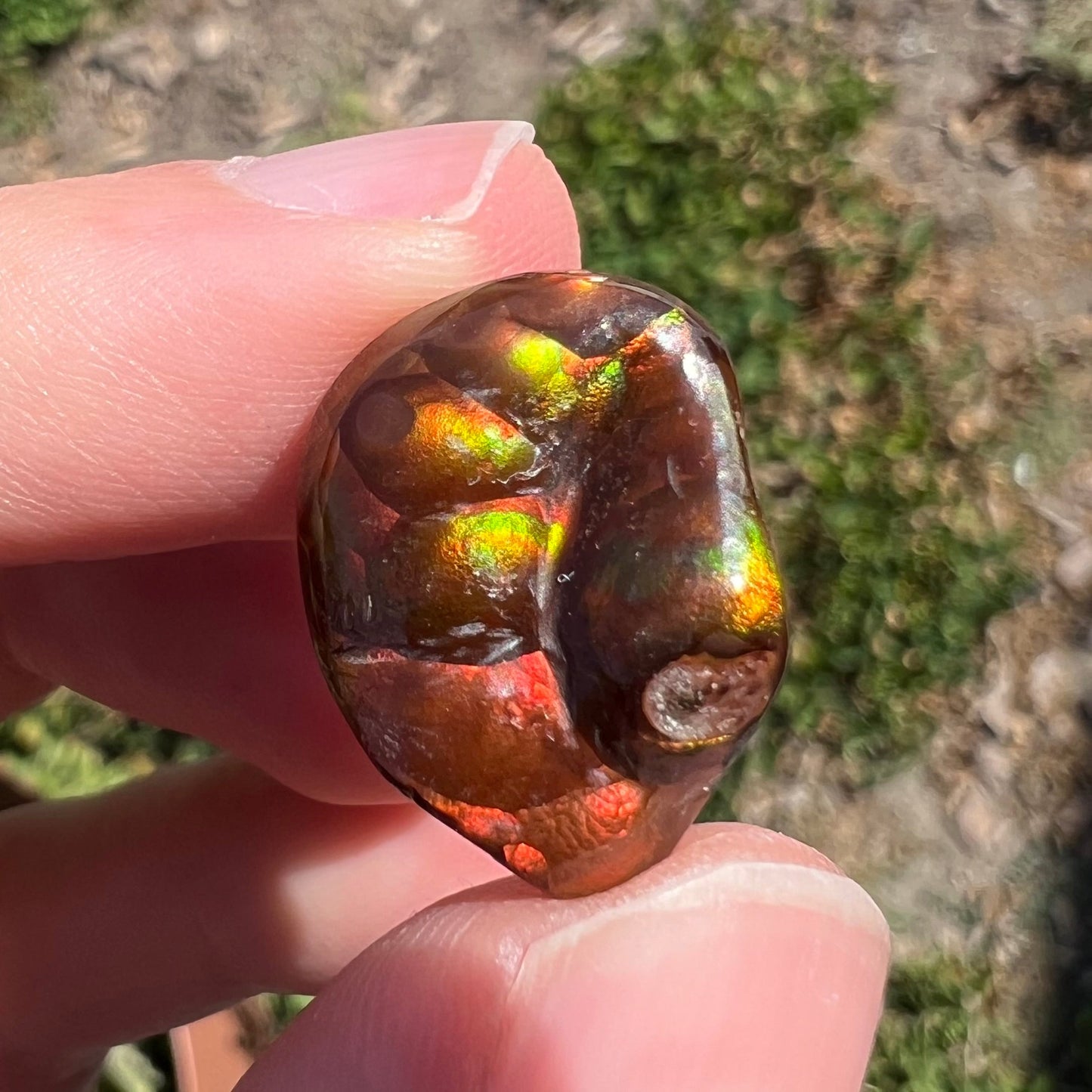 A large Mexican fire agate gemstone. The stone is red with green iridescence and a waxy luster.