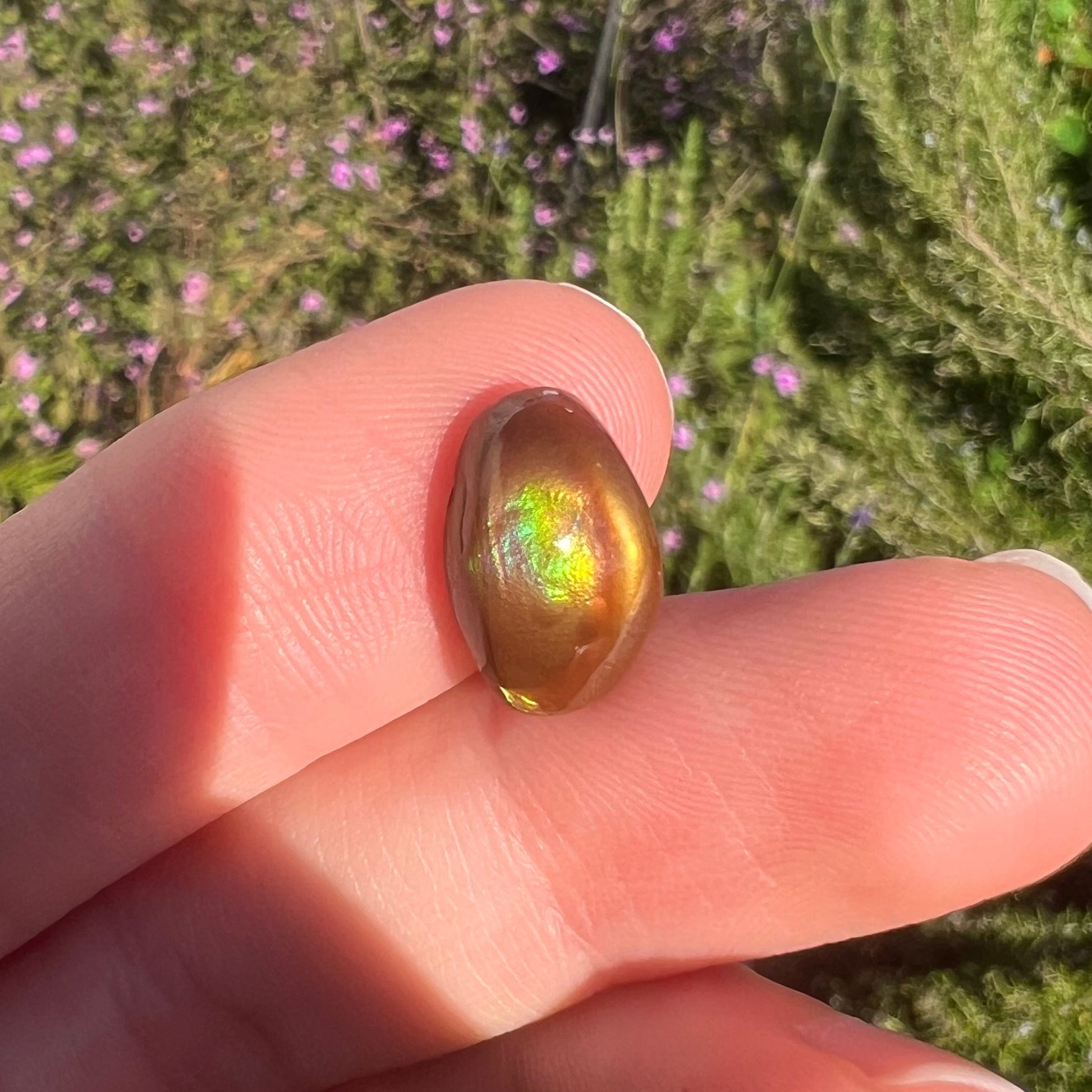 A loose, oval cabochon cut fire agate stone that shines red, yellow, green, blue, and purple.