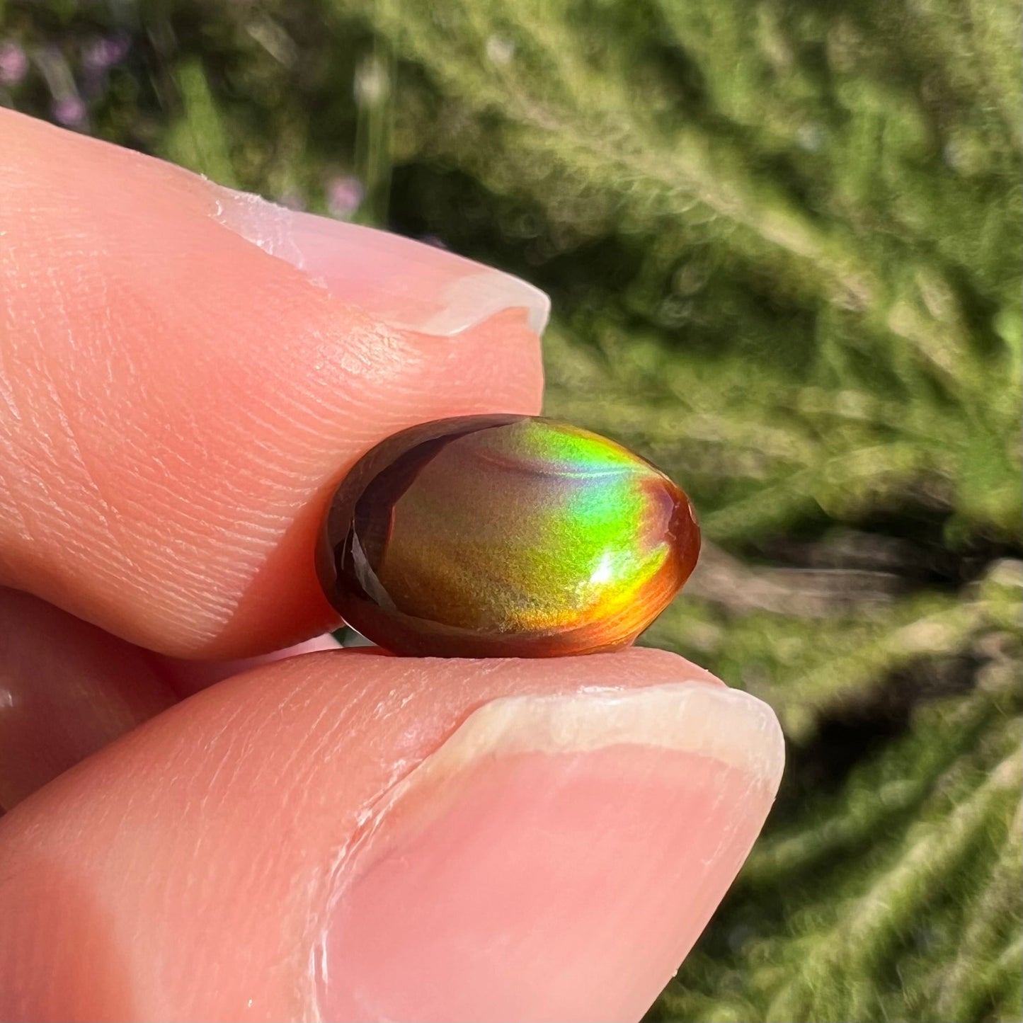 A loose, 3.38ct, pear shaped Mexican fire agate stone. The stone shines a vivid, bright green color with a purple streak.