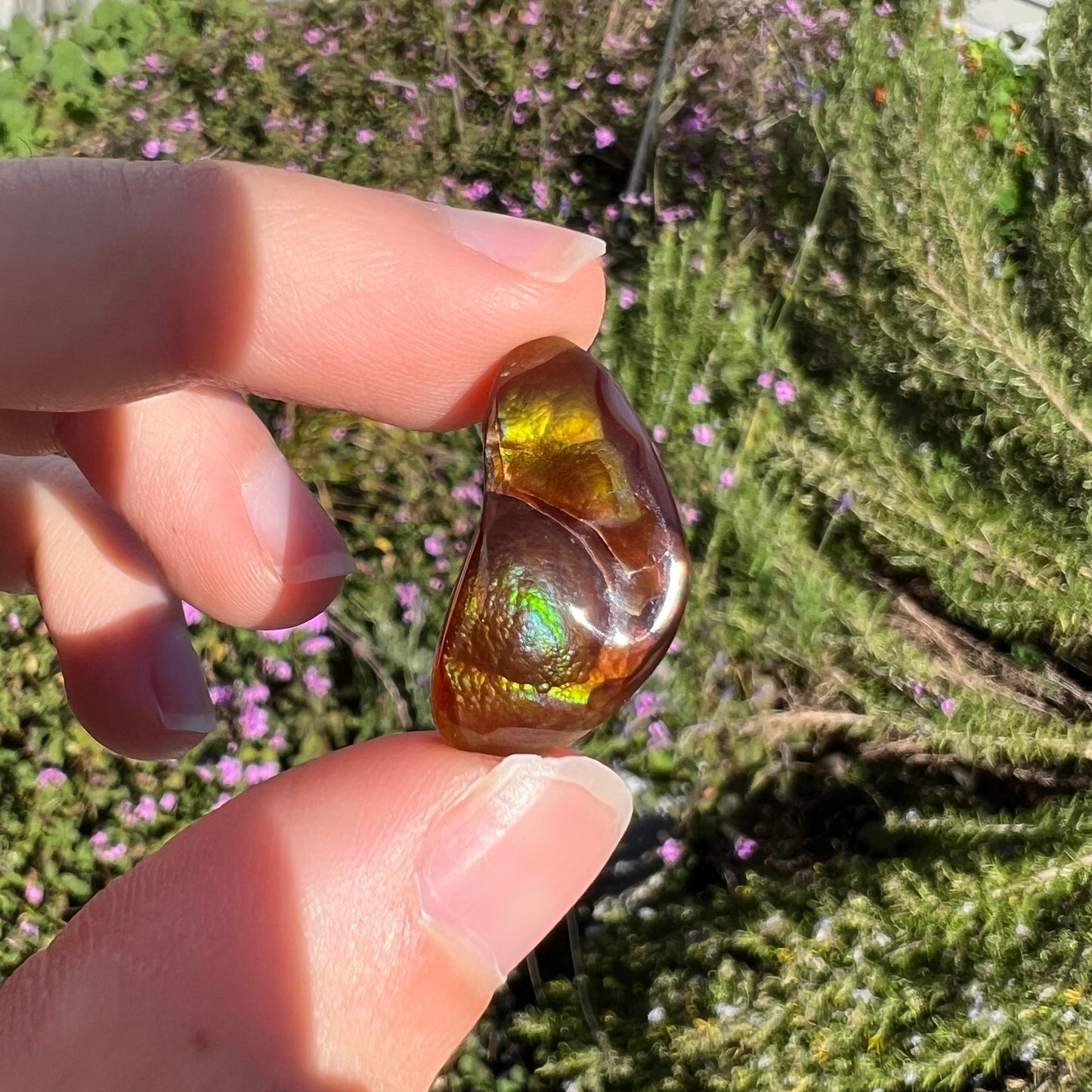 A loose, boomerang shaped fire agate cabochon. The stone displays greens, purples, blues, and reds.
