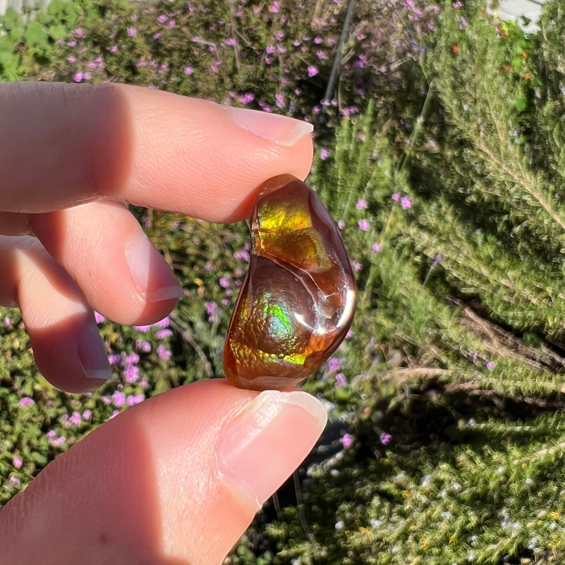 A loose, boomerang shaped fire agate cabochon.  The stone displays greens, purples, blues, and reds.