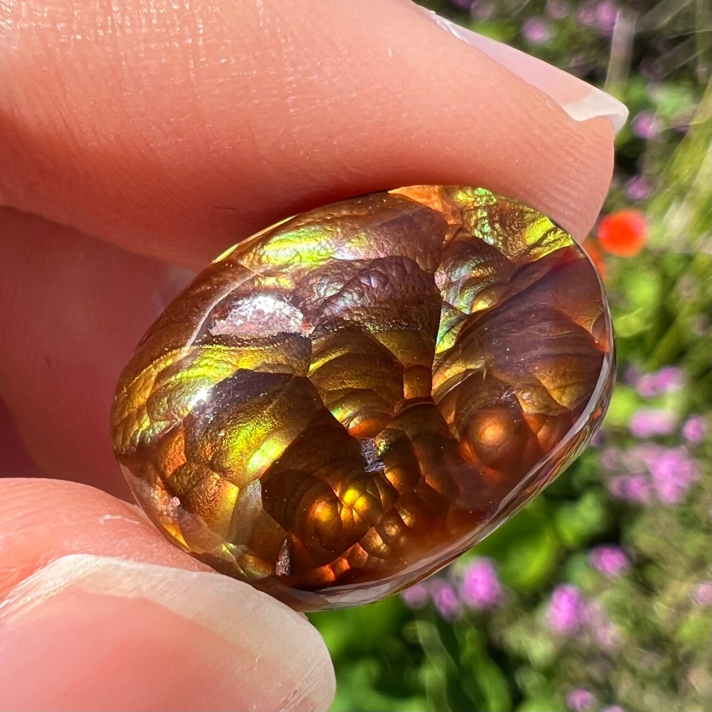 An oval cabochon cut Mexican fire agate stone. The stone's predominant colors are green, yellow, orange, and blue.