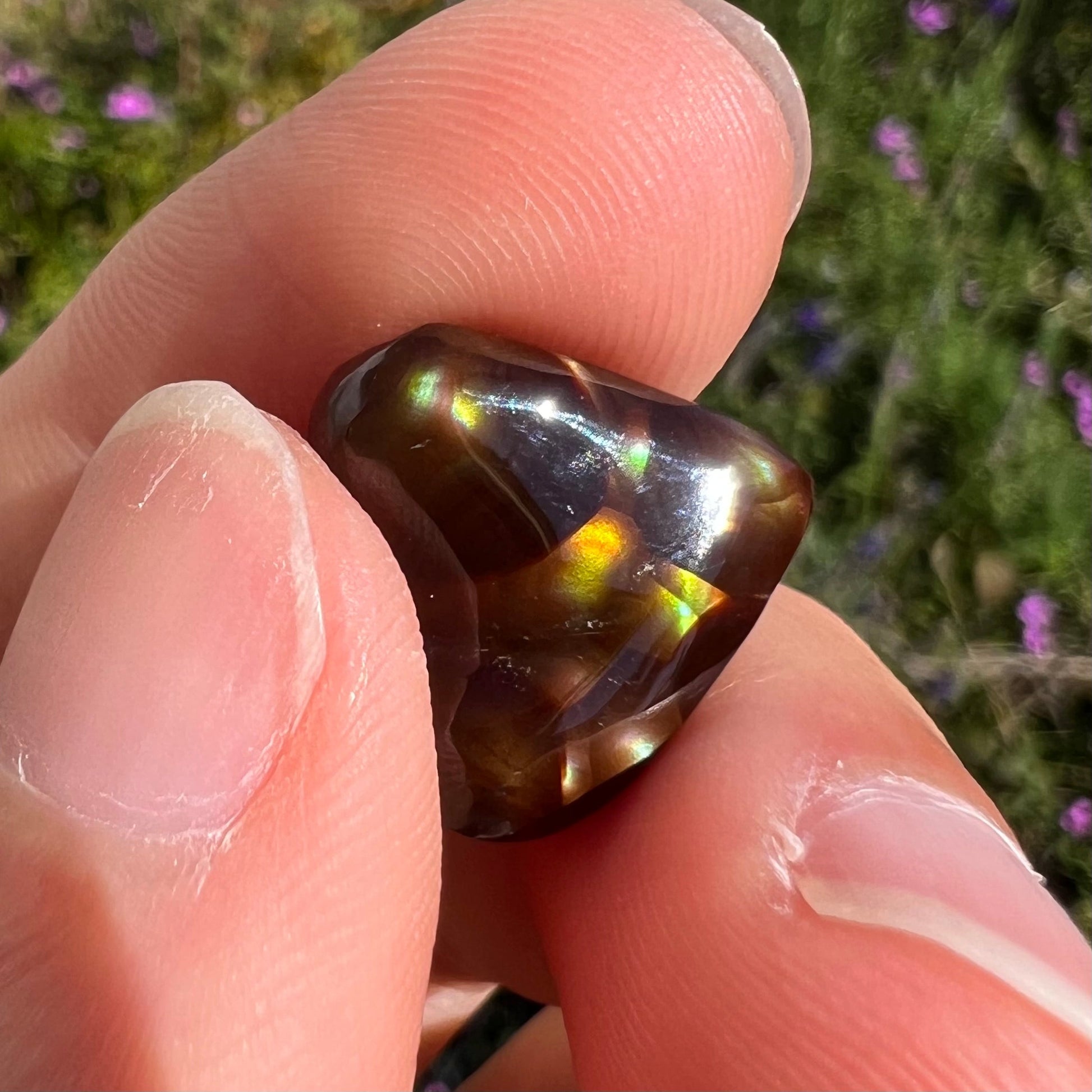 A cabochon cut heart shaped Mexican fire agate stone.  The stone is orange, yellow, pink, green, and purple.