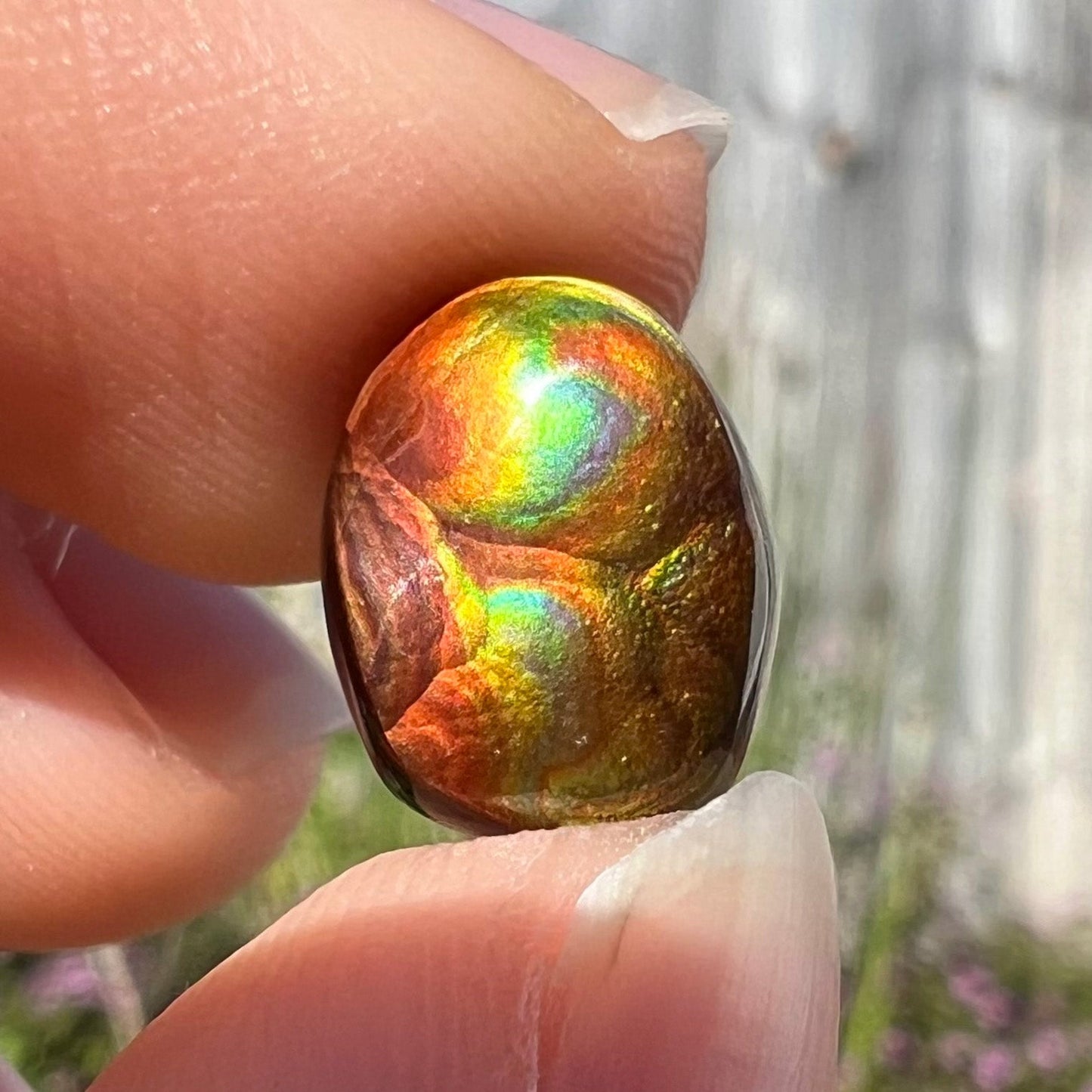 A loose, oval cabochon cut Mexican fire agate stone. The gem is iridescent with every color of the rainbow.