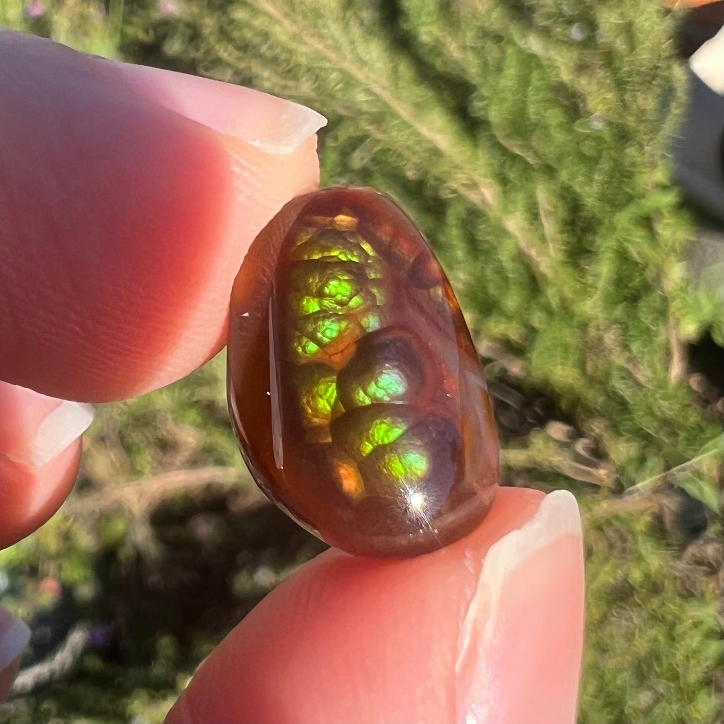 A loose, freeform cabochon cut fire agate gemstone. The stone is green with blue overtones.