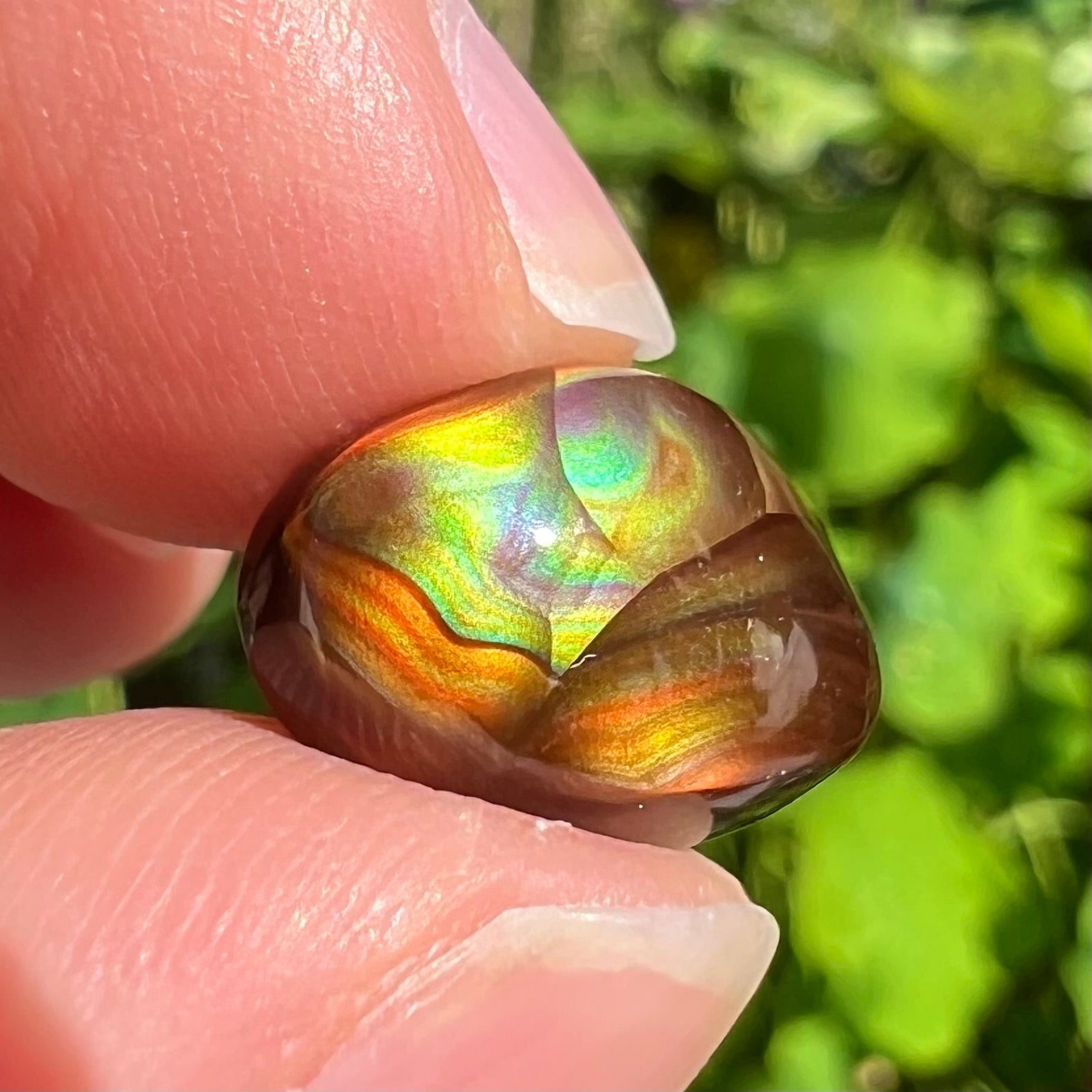 An oval cabochon cut Mexican fire agate stone.  The stone has bright, multicolored iridescent banding.