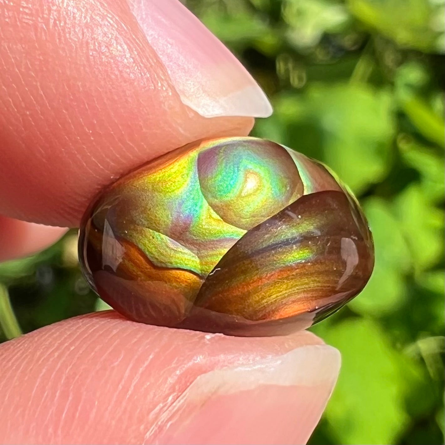 An oval cabochon cut Mexican fire agate stone.  The stone has bright, multicolored iridescent banding.