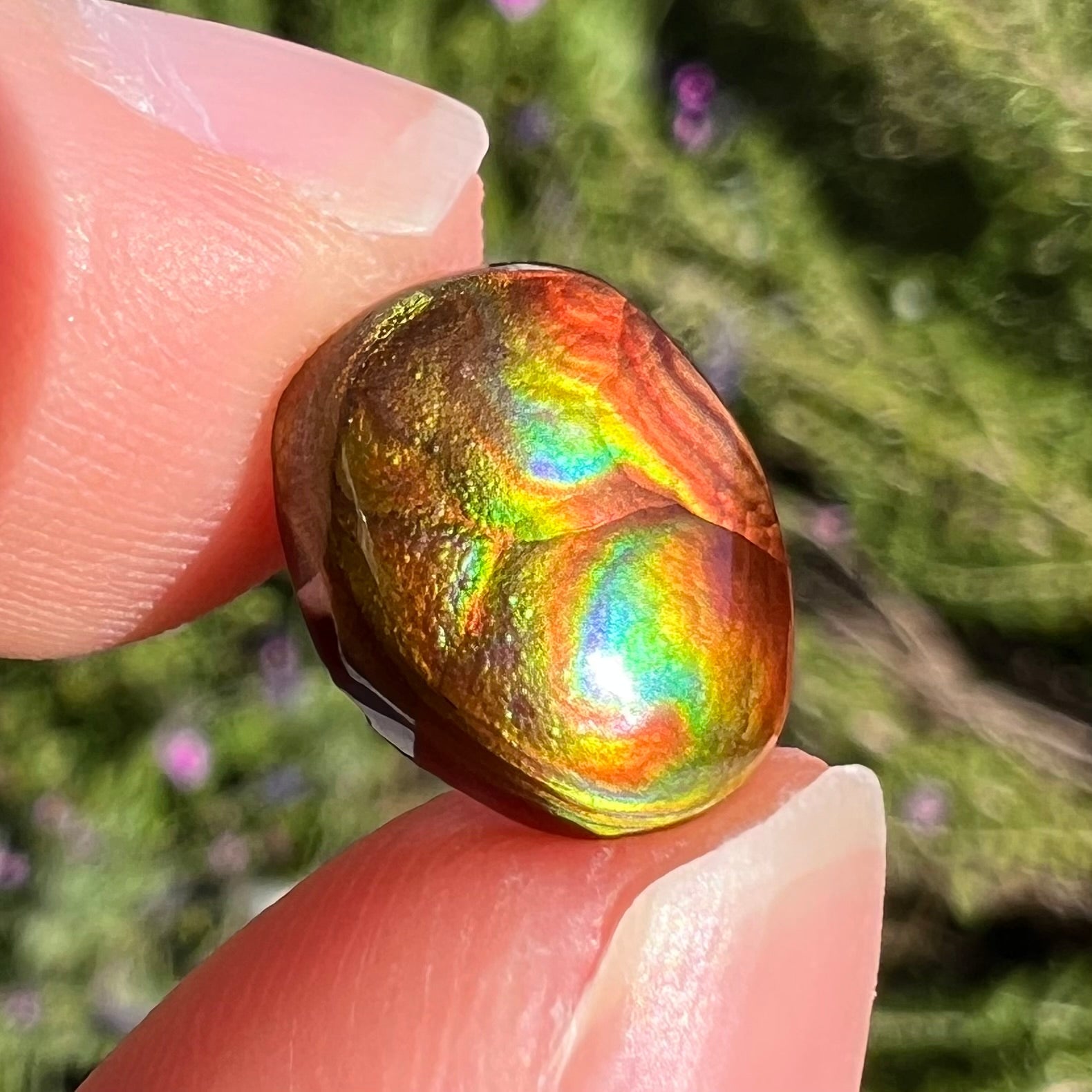 A loose, imperial grade Mexican fire agate gemstone.  The stone brightly glows every color in the sunlight.
