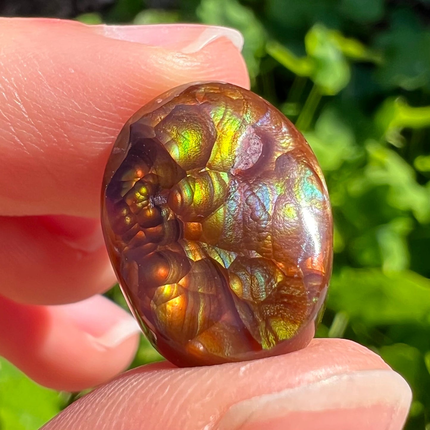 An oval cabochon cut Mexican fire agate stone. The stone's predominant colors are green, yellow, orange, and blue.