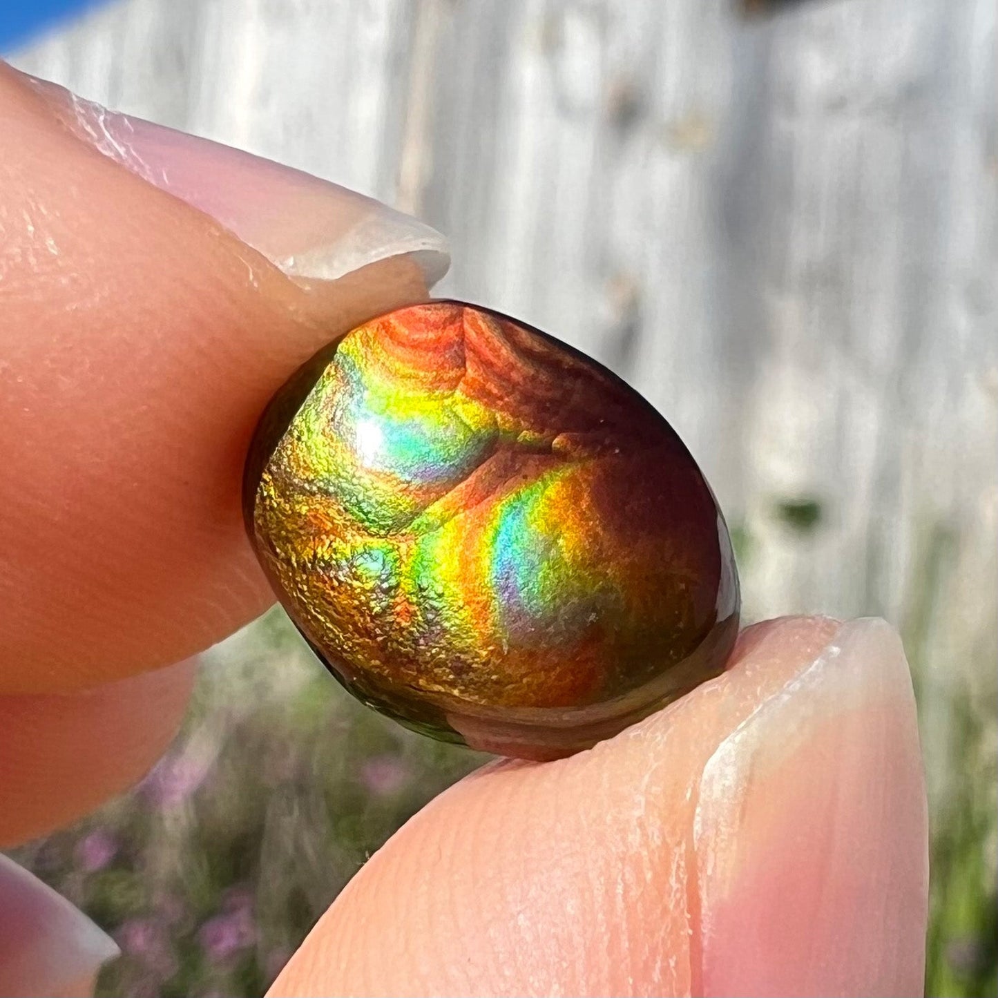 A loose, oval cabochon cut Mexican fire agate stone. The gem is iridescent with every color of the rainbow.