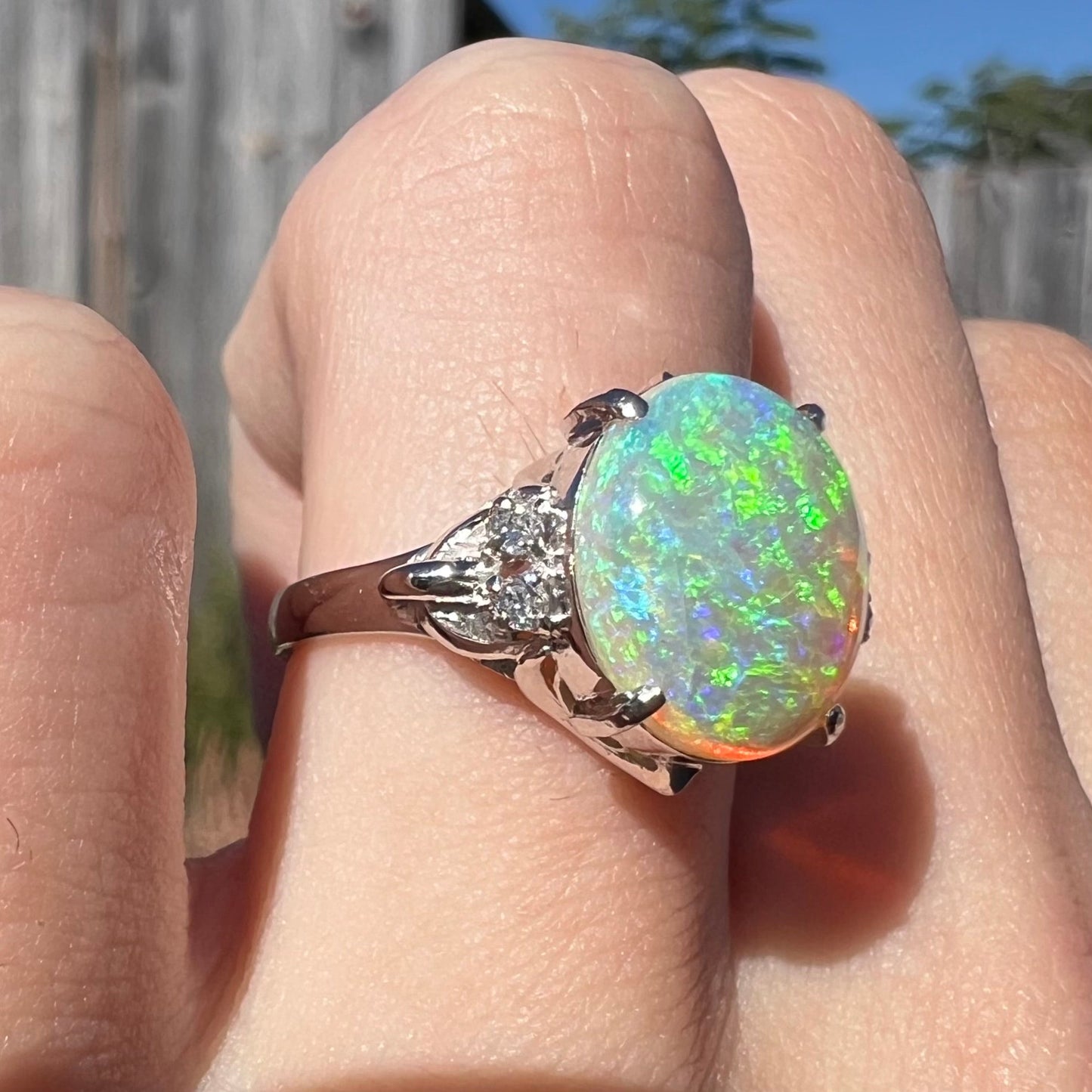 An Australian crystal opal engagement ring set with diamonds in a platinum filigree mounting. The opal plays green/blue colors and has a crack.