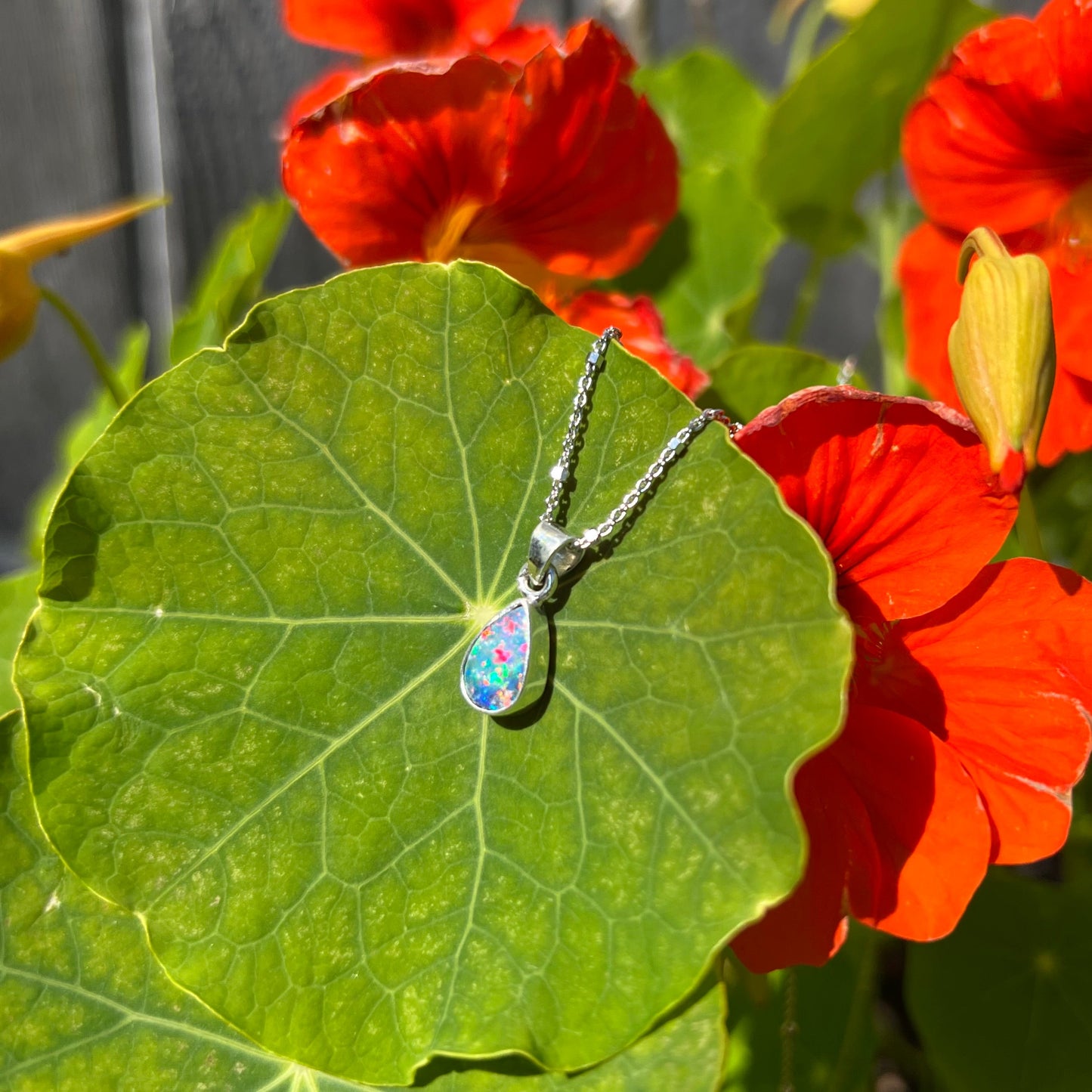 A pear shaped black opal necklace set in sterling silver. The opal vividly flashes every color of the rainbow.