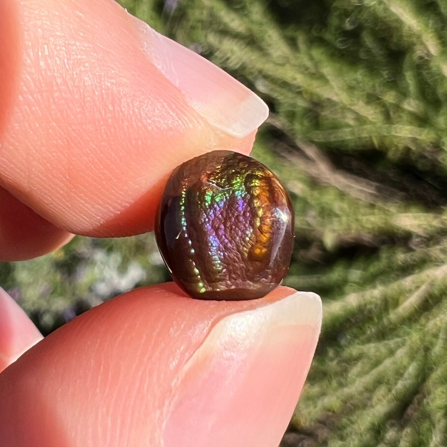A loose, oval cabochon cut fire agate stone from Mexico. The stone has an iridescent purple and teal blue eye of color.