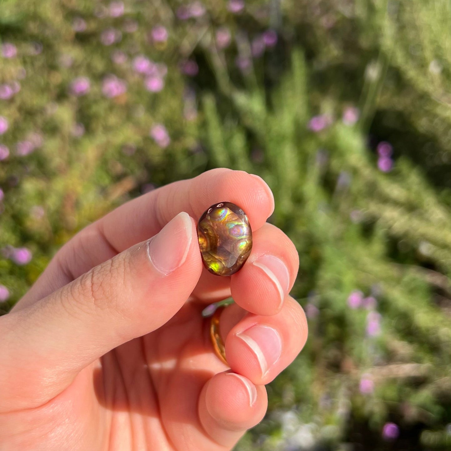 A loose, oval cabochon cut Mexican fire agate stone with pink, orange, and purple banding.